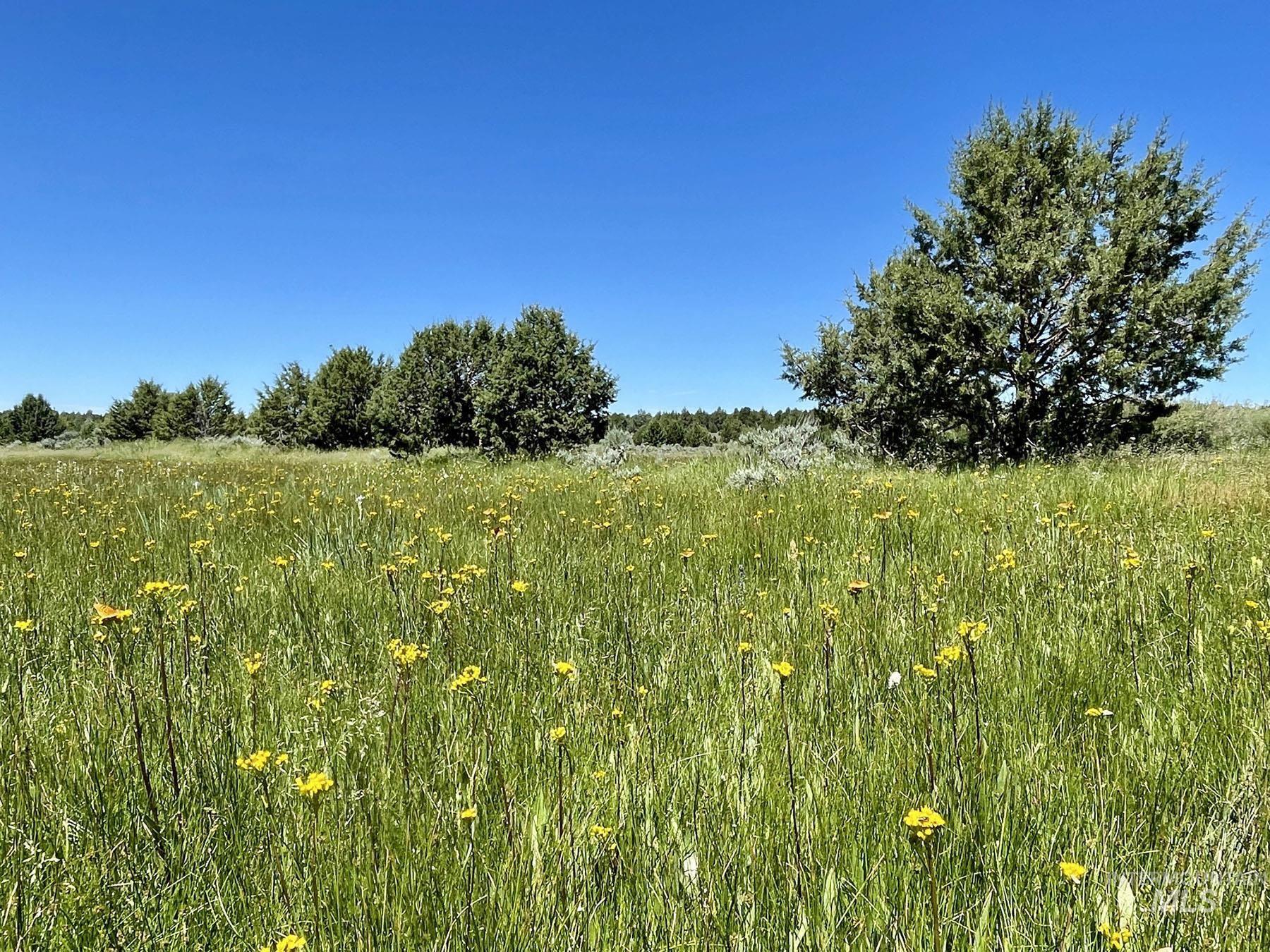 Mud Flat Road, Grand View, Idaho 83624, Farm & Ranch For Sale, Price $3,900,000, 98921103