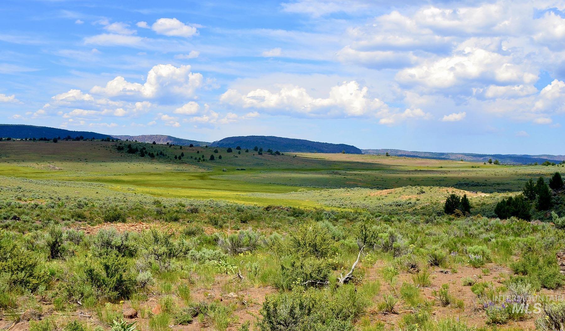 Mud Flat Road, Grand View, Idaho 83624, Farm & Ranch For Sale, Price $3,900,000, 98921103