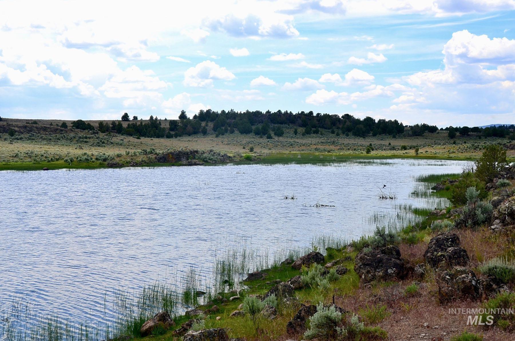 Mud Flat Road, Grand View, Idaho 83624, Farm & Ranch For Sale, Price $3,900,000, 98921103