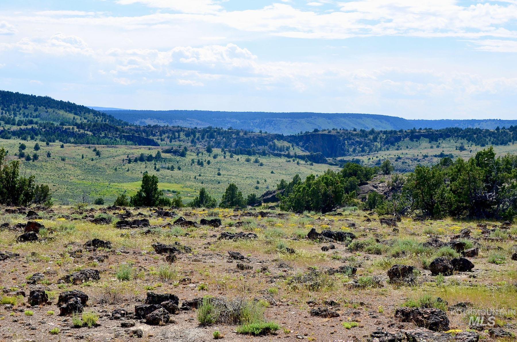 Mud Flat Road, Grand View, Idaho 83624, Farm & Ranch For Sale, Price $3,900,000, 98921103