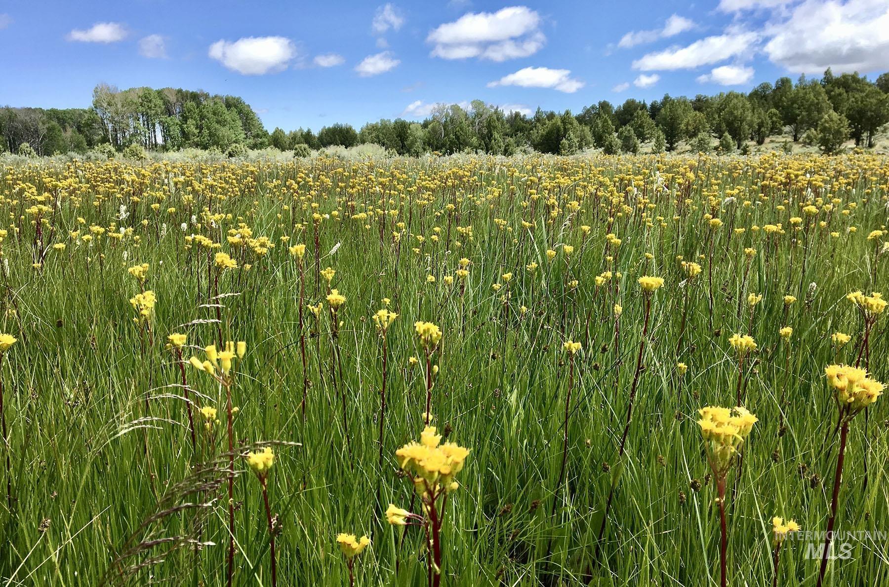 Mud Flat Road, Grand View, Idaho 83624, Farm & Ranch For Sale, Price $3,900,000, 98921103