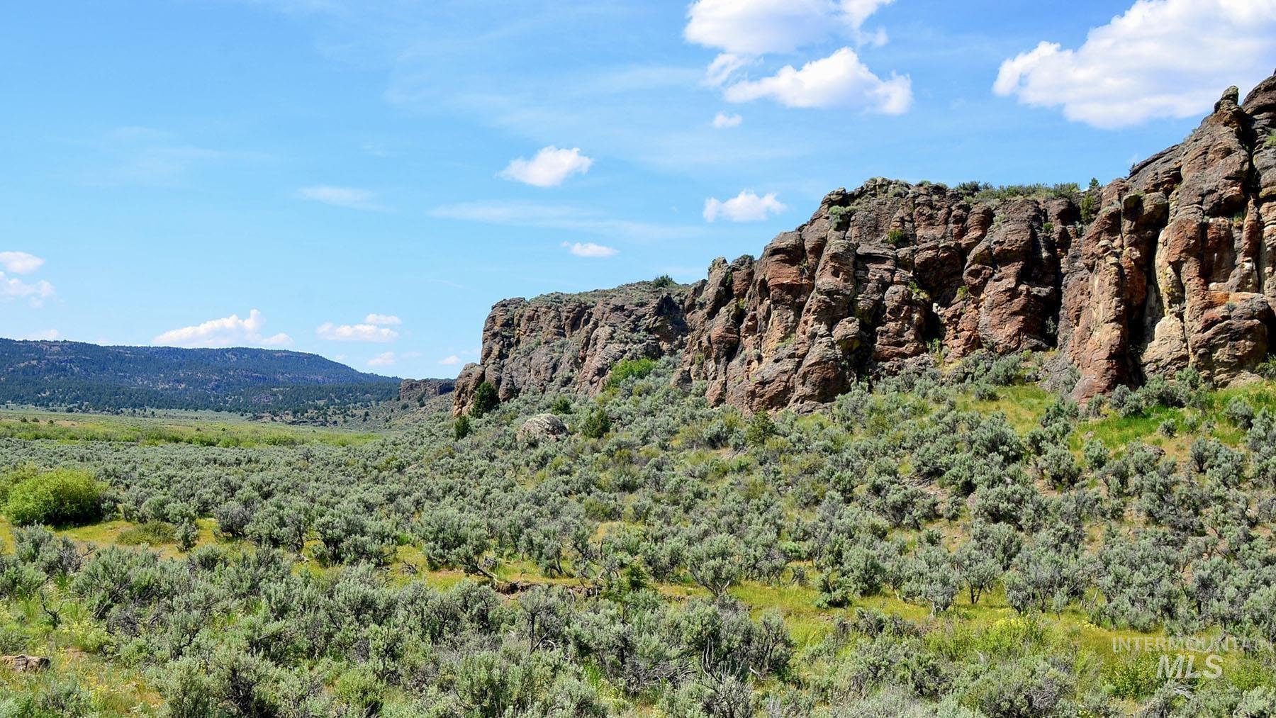 Mud Flat Road, Grand View, Idaho 83624, Farm & Ranch For Sale, Price $3,900,000, 98921103