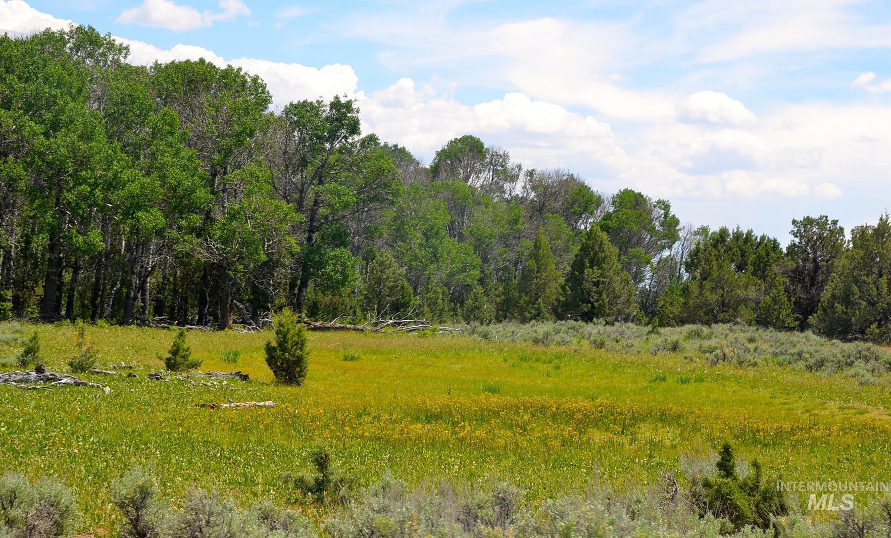 Mud Flat Road, Grand View, Idaho 83624, Farm & Ranch For Sale, Price $3,900,000, 98921103