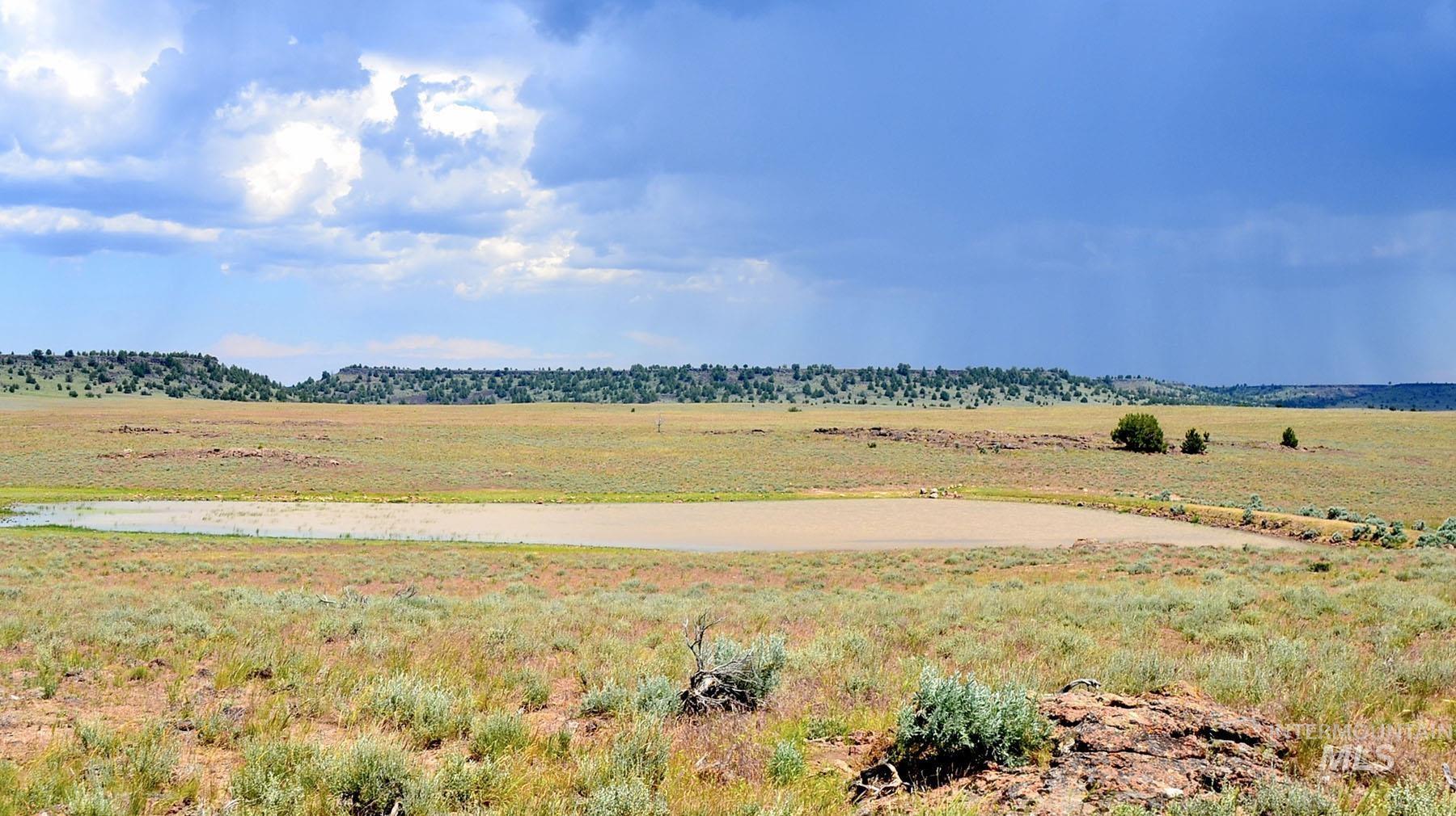 Mud Flat Road, Grand View, Idaho 83624, Farm & Ranch For Sale, Price $3,900,000, 98921103