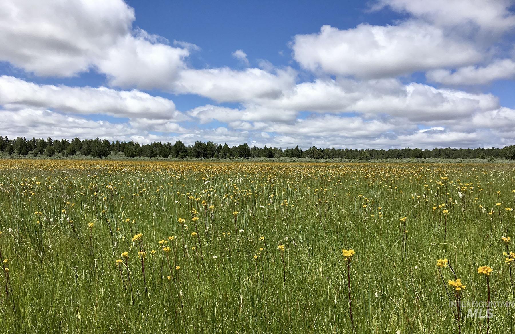 Mud Flat Road, Grand View, Idaho 83624, Farm & Ranch For Sale, Price $3,900,000, 98921103