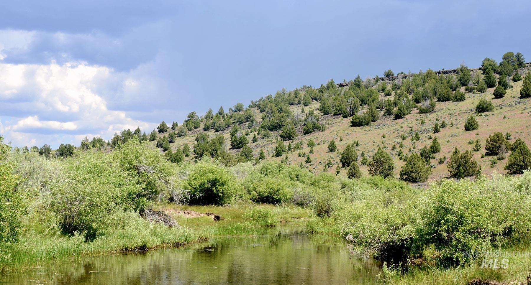 Mud Flat Road, Grand View, Idaho 83624, Farm & Ranch For Sale, Price $3,900,000, 98921103