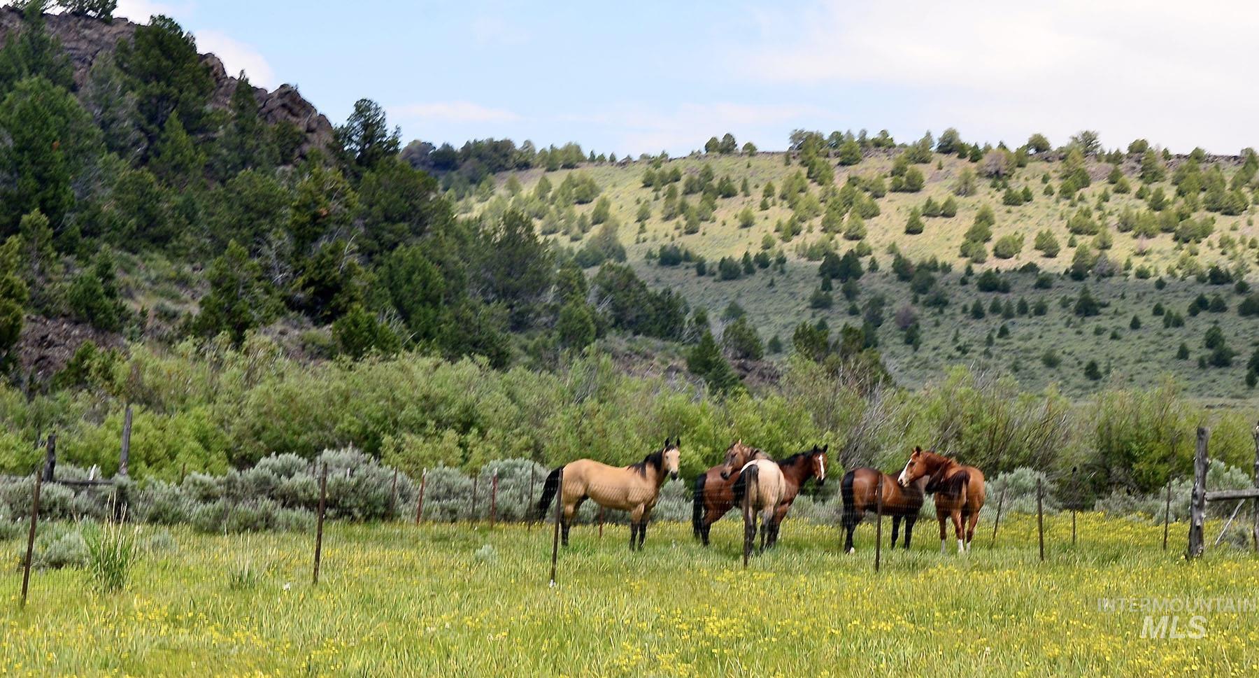 Mud Flat Road, Grand View, Idaho 83624, Farm & Ranch For Sale, Price $3,900,000, 98921103
