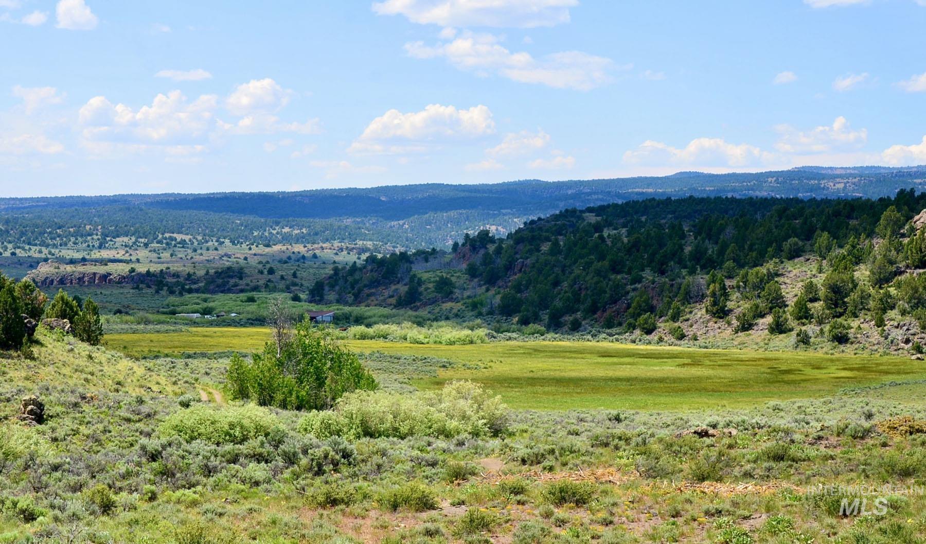 Mud Flat Road, Grand View, Idaho 83624, Farm & Ranch For Sale, Price $3,900,000, 98921103