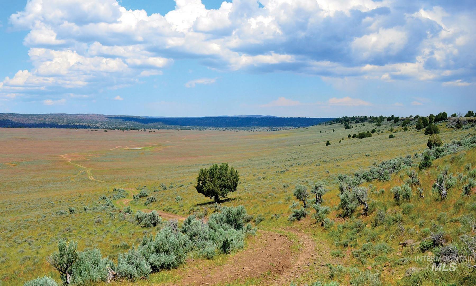 Mud Flat Road, Grand View, Idaho 83624, Farm & Ranch For Sale, Price $3,900,000, 98921103
