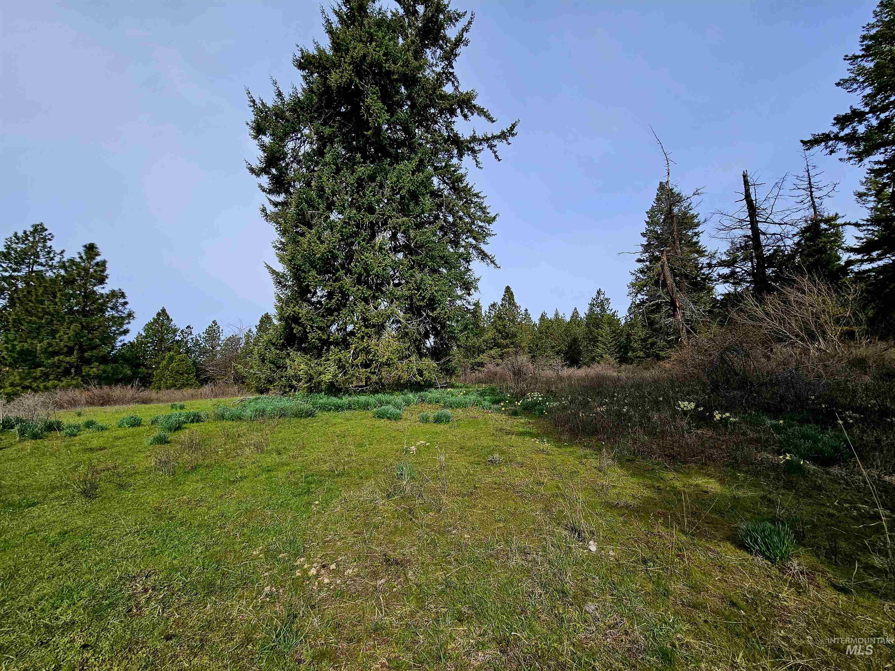 TBD TBD Red Willow Rd, Lots69, 70, 79, 80 Cedar Creek, Kendrick, Idaho 83537, Land For Sale, Price $410,000,MLS 98921140