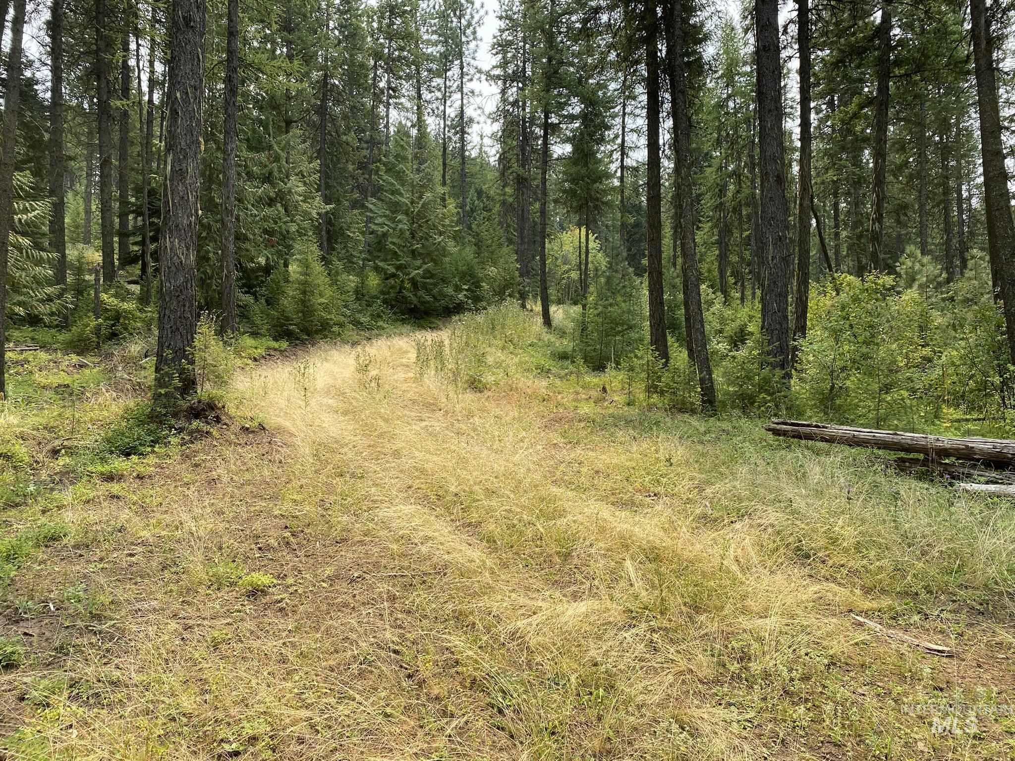 TBD Cedar Cr Subdivision, Kendrick, Idaho 83537, Land For Sale, Price $115,000,MLS 98921187