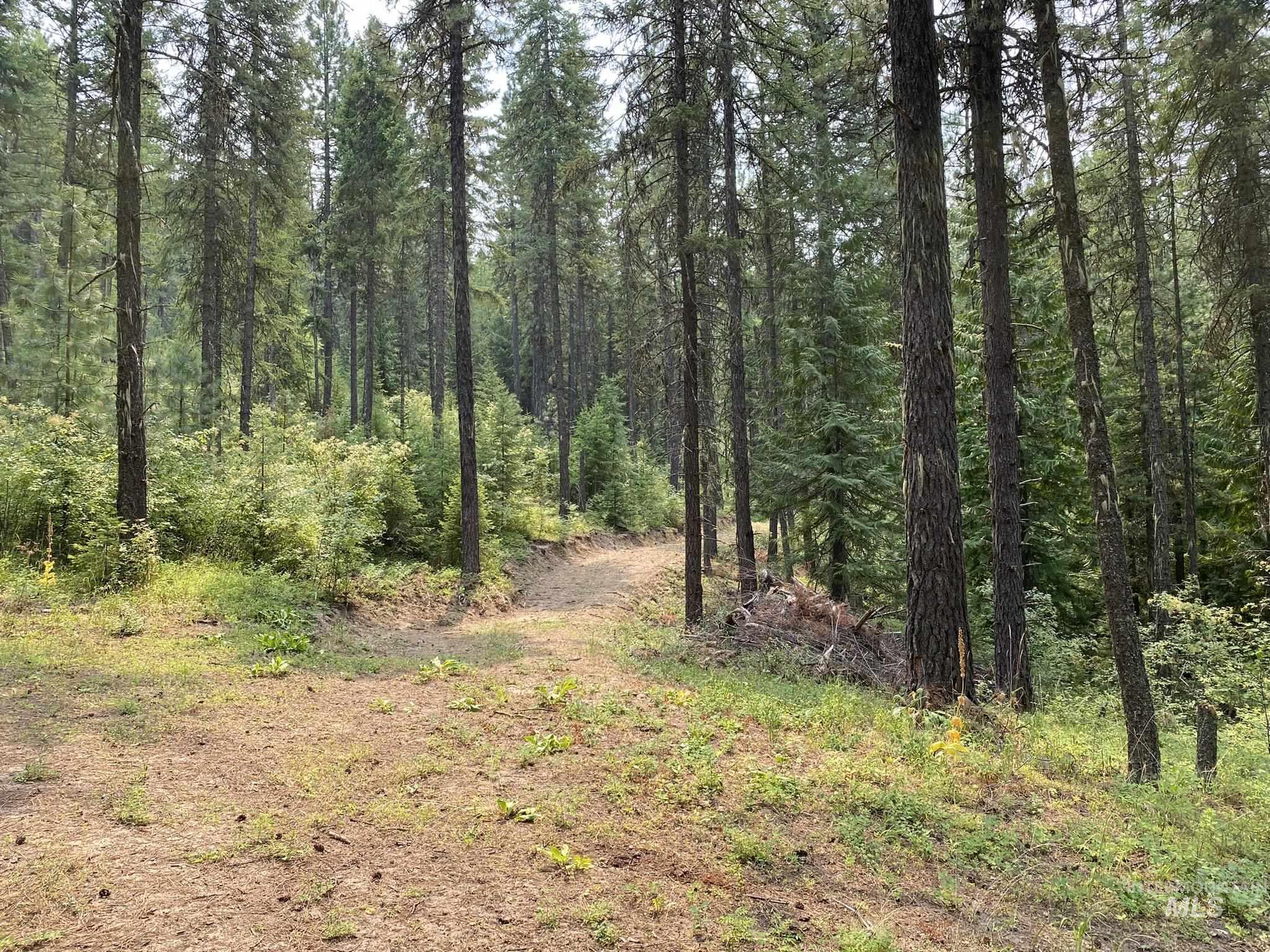 TBD Cedar Cr Subdivision, Kendrick, Idaho 83537, Land For Sale, Price $115,000,MLS 98921187