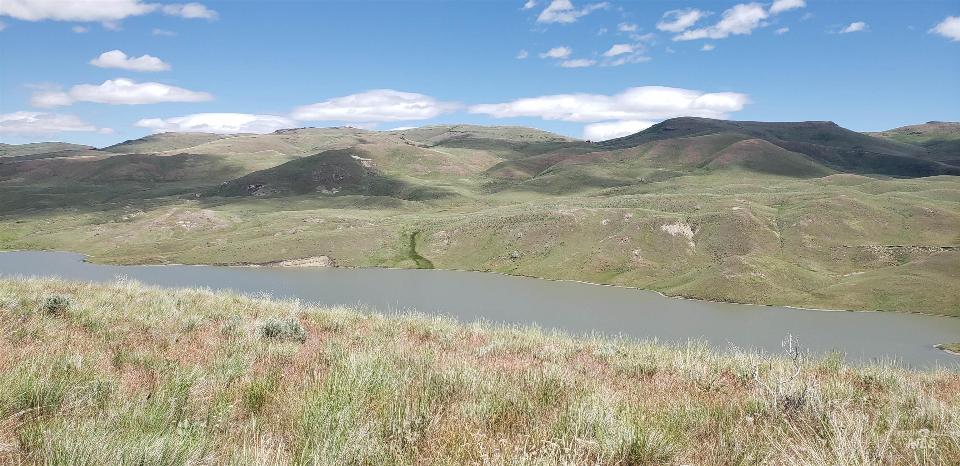 TBD succor creek, Homedale, Idaho 83628, Land For Sale, Price $350,000,MLS 98921358