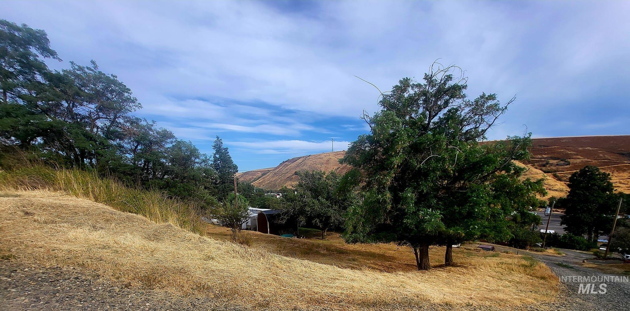 285 23 street, Pomeroy, Washington 99347, Land For Sale, Price $47,000, 98921378