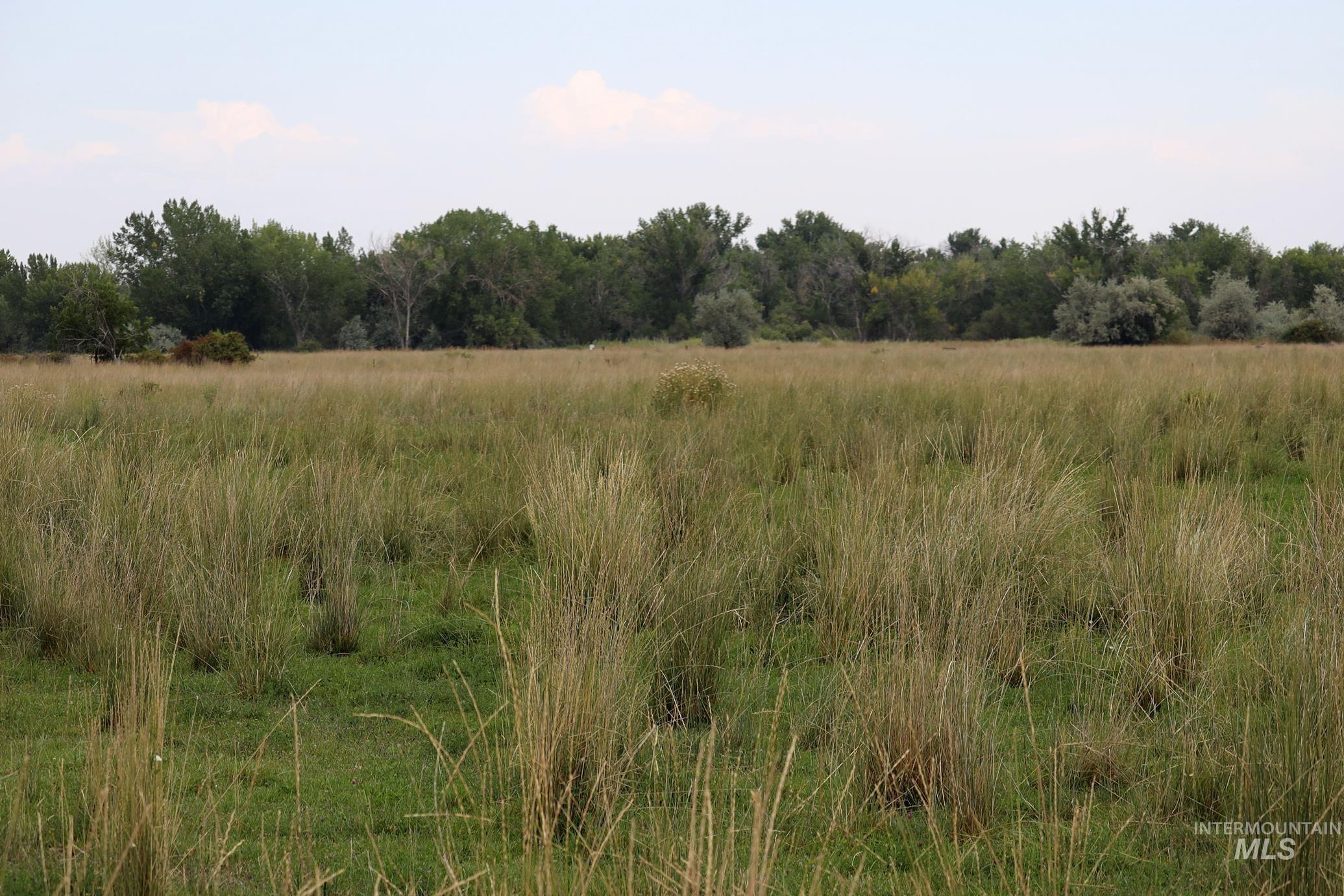 TBD Lakeshore Drive, Caldwell, Idaho 83607, Land For Sale, Price $3,300,000,MLS 98921467