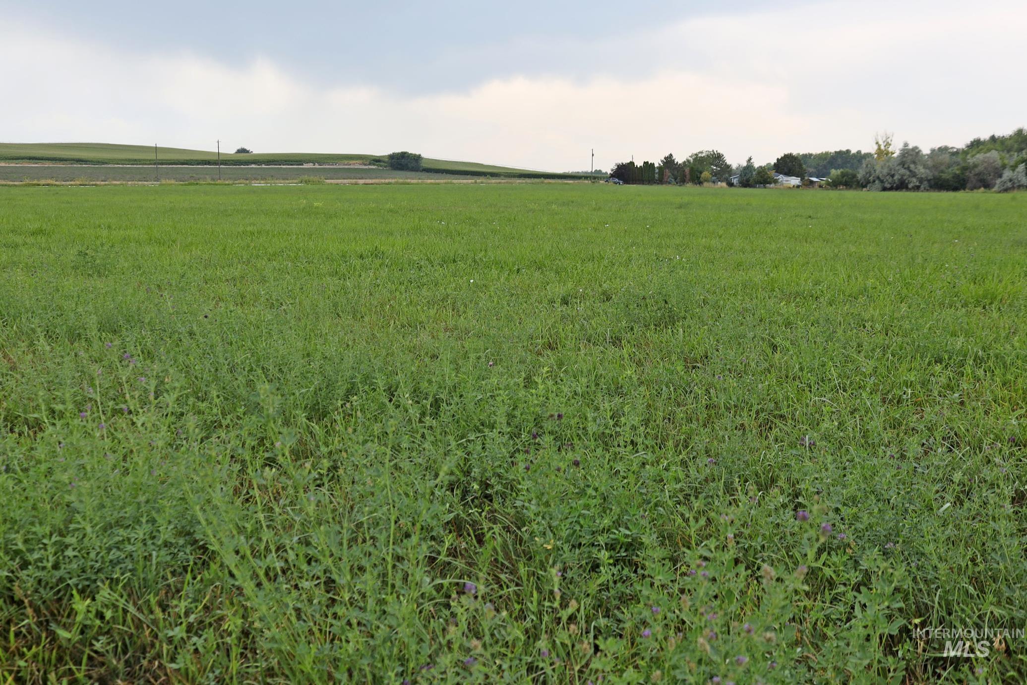 TBD Lakeshore Drive, Caldwell, Idaho 83607, Land For Sale, Price $3,300,000,MLS 98921467