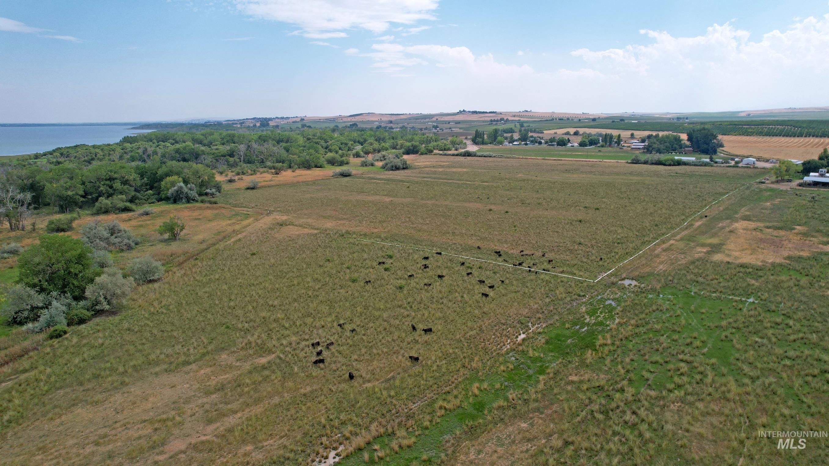 TBD Lakeshore Drive, Caldwell, Idaho 83607, Land For Sale, Price $3,300,000,MLS 98921467