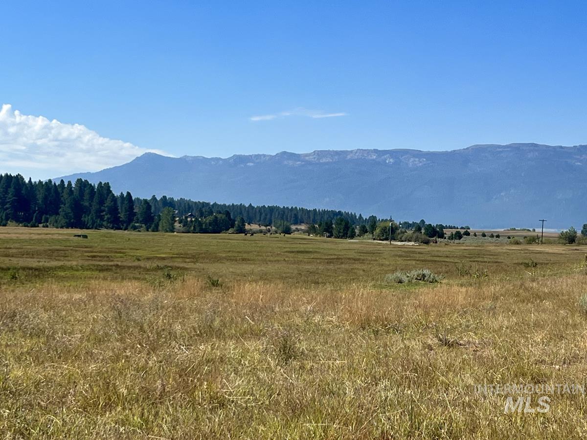 5 Duncan Court, Cascade, Idaho 83611, Land For Sale, Price $245,000,MLS 98921577