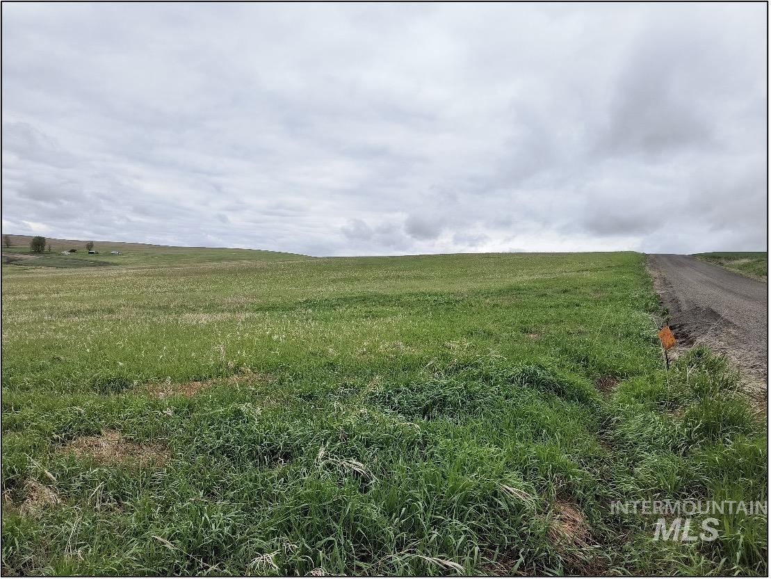 TBD Meade Road, Nezperce, Idaho 83543, Land For Sale, Price $715,000,MLS 98921624