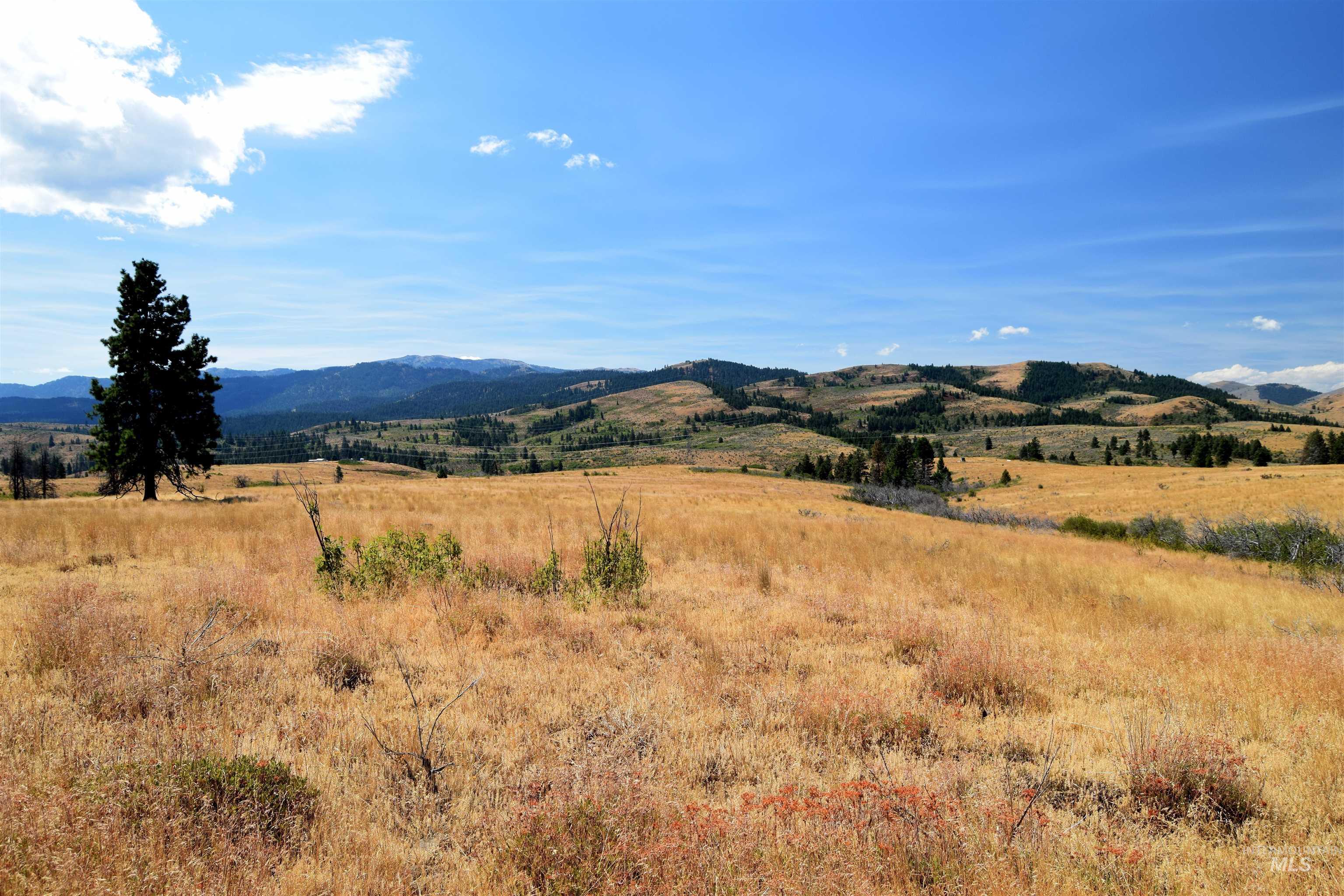 TBD HIghway 71, Cambridge, Idaho 83610, Land For Sale, Price $4,256,000, 98921778