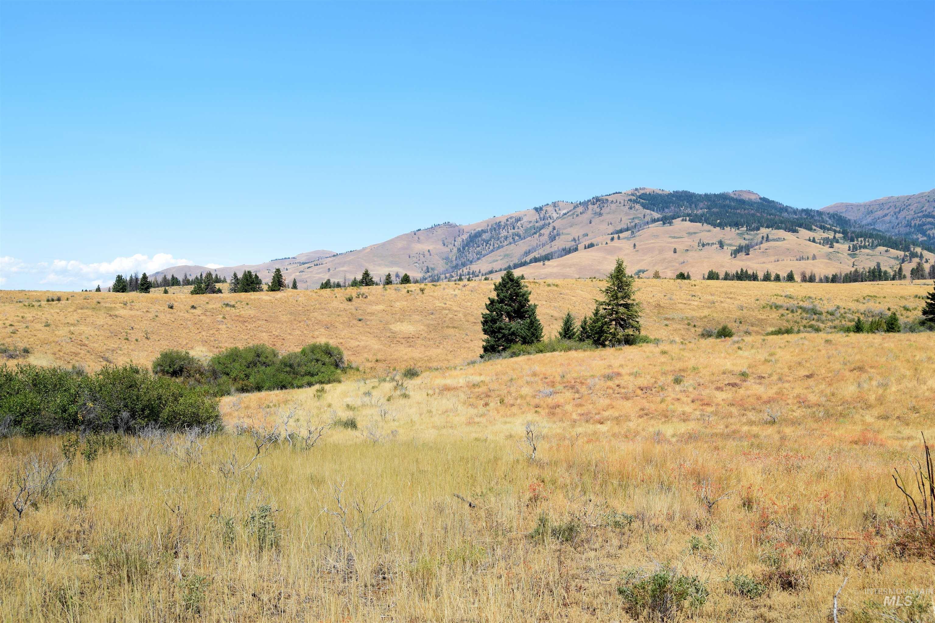 TBD HIghway 71, Cambridge, Idaho 83610, Land For Sale, Price $4,256,000,MLS 98921778