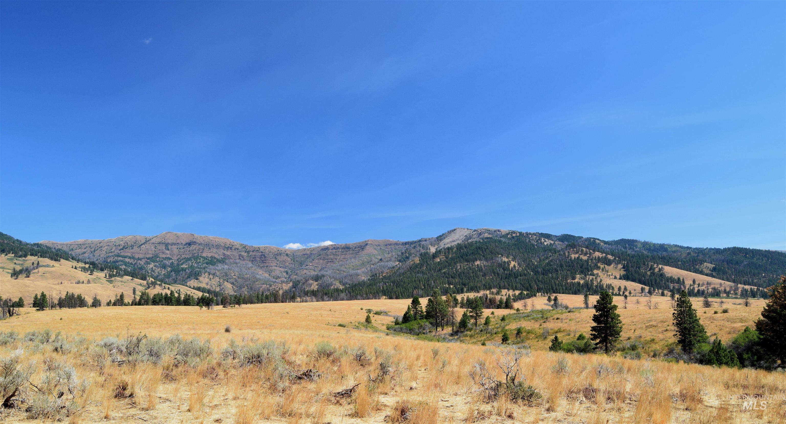 TBD HIghway 71, Cambridge, Idaho 83610, Land For Sale, Price $4,256,000, 98921778