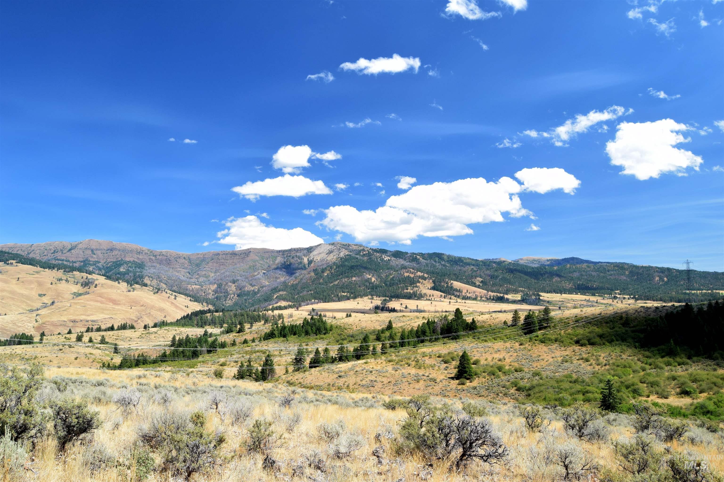 TBD HIghway 71, Cambridge, Idaho 83610, Land For Sale, Price $4,256,000, 98921778