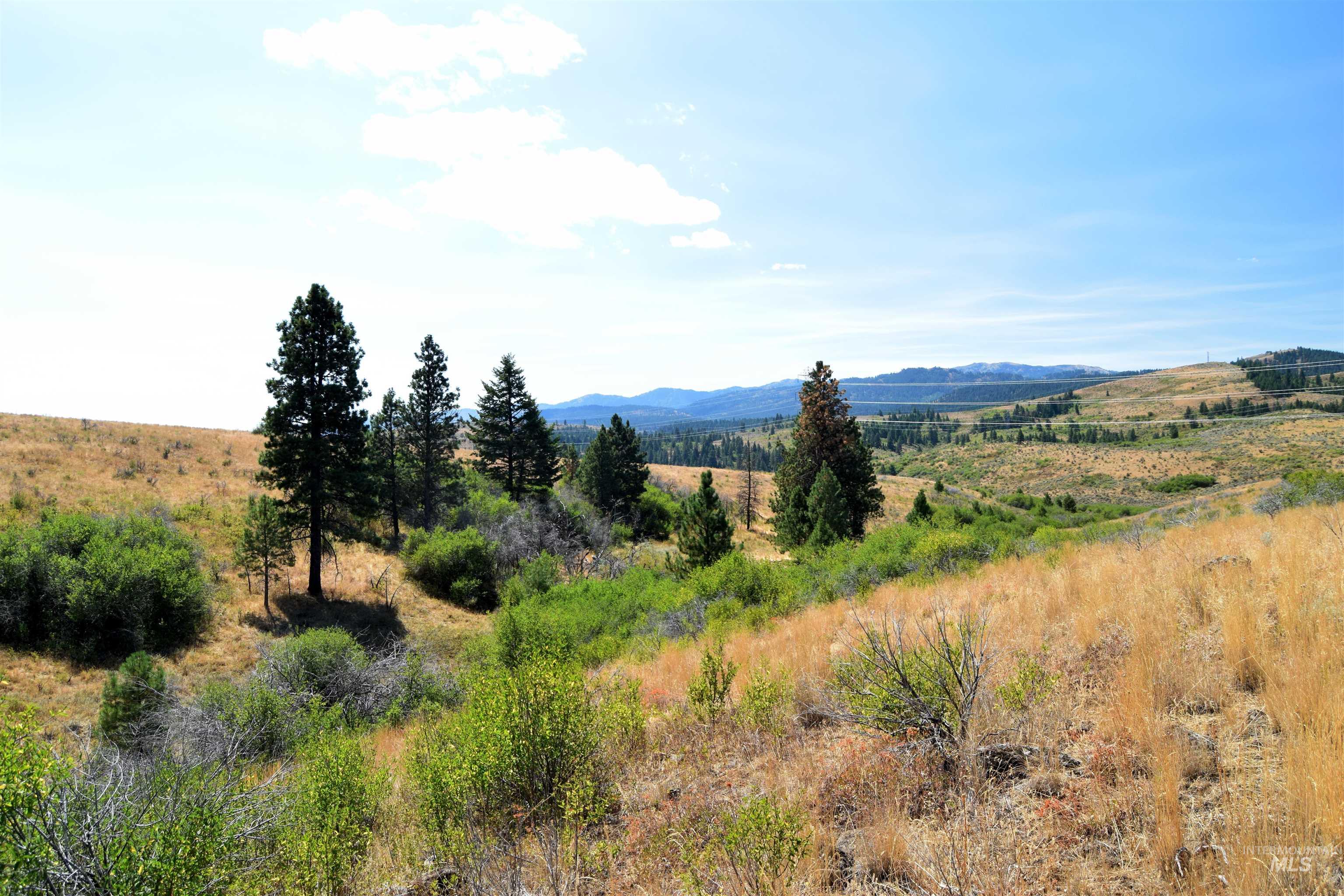 TBD HIghway 71, Cambridge, Idaho 83610, Land For Sale, Price $4,256,000, 98921778