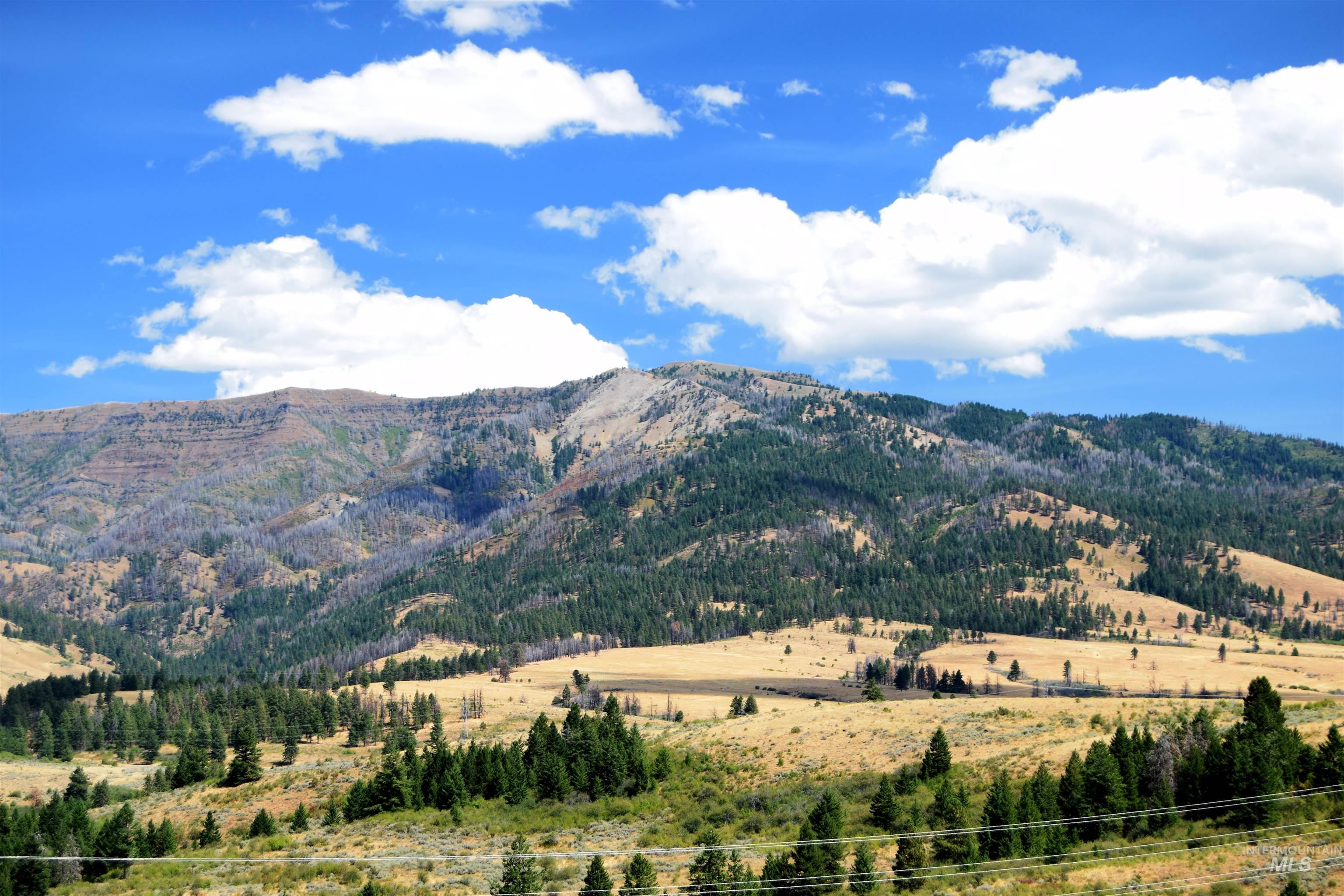 TBD HIghway 71, Cambridge, Idaho 83610, Land For Sale, Price $4,256,000, 98921778
