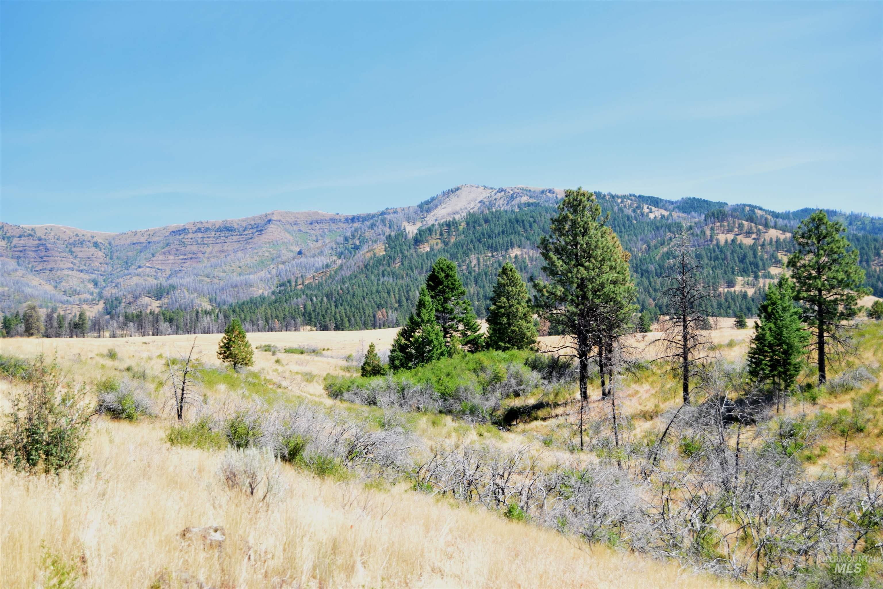 TBD HIghway 71, Cambridge, Idaho 83610, Land For Sale, Price $4,256,000, 98921778