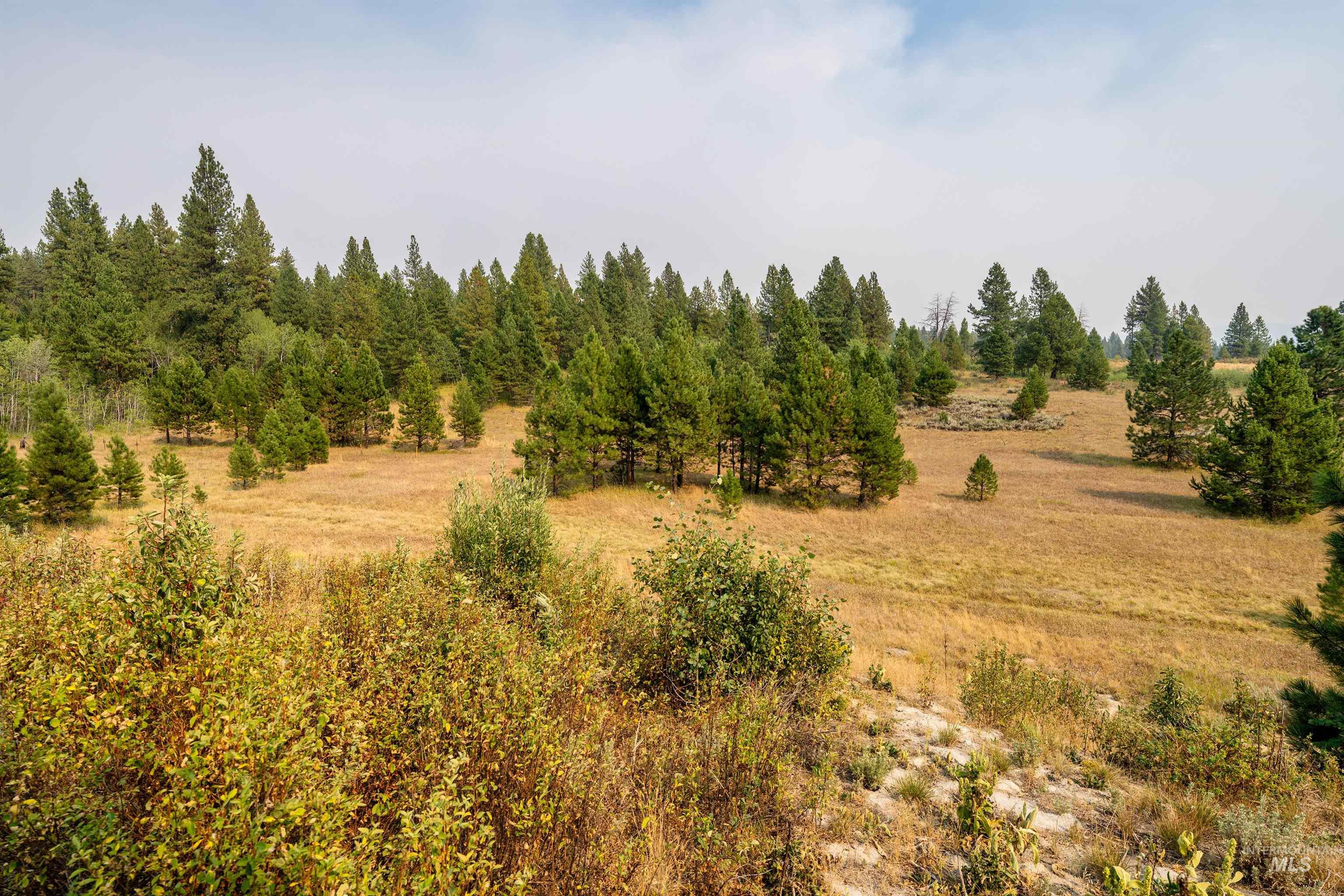 4 Joshua Dr, Cascade, Idaho 83611, Land For Sale, Price $320,000,MLS 98921814