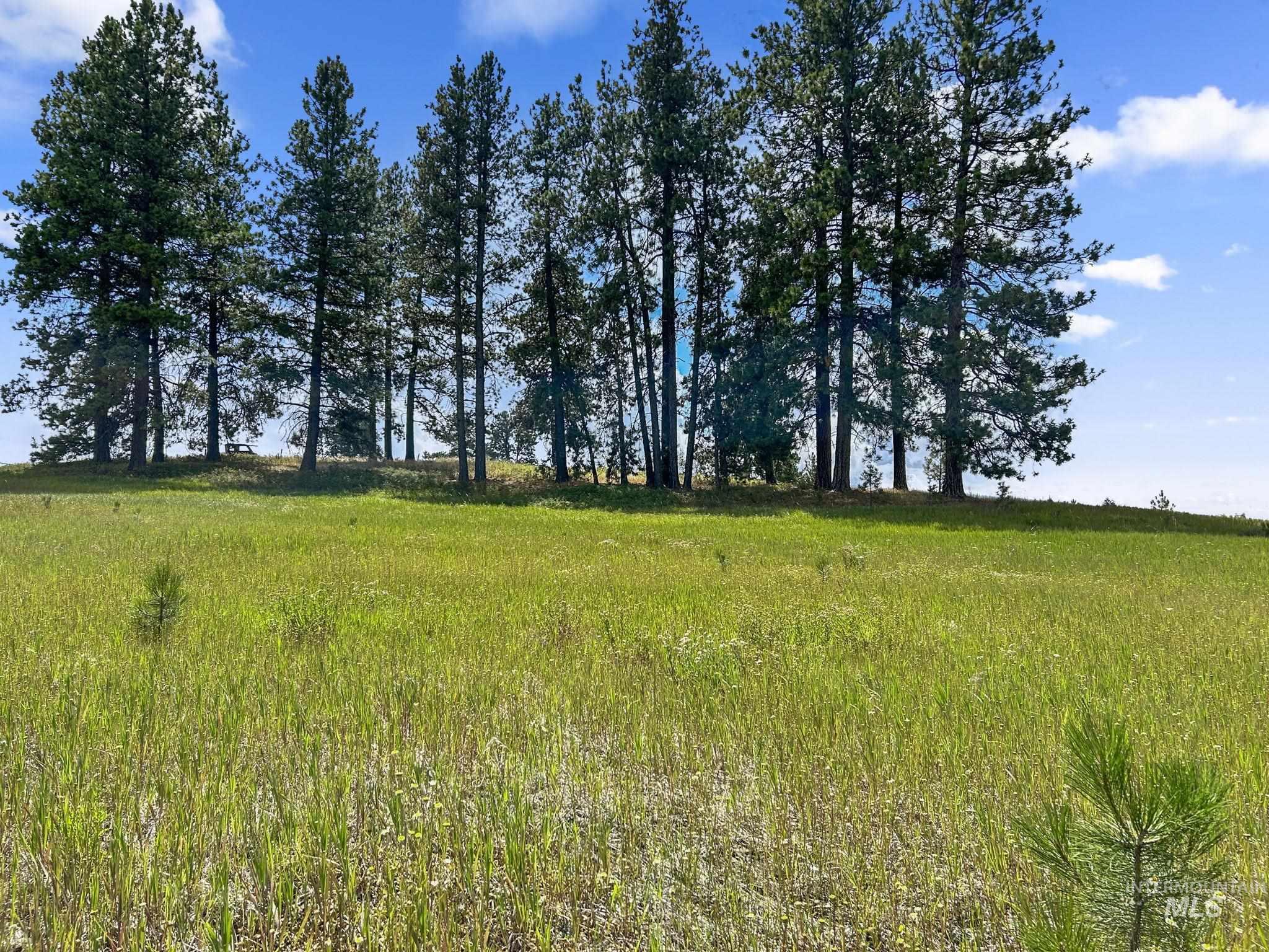 TBD Keuterville RD, CottonWood, Idaho 83522, Land For Sale, Price $399,000,MLS 98921873