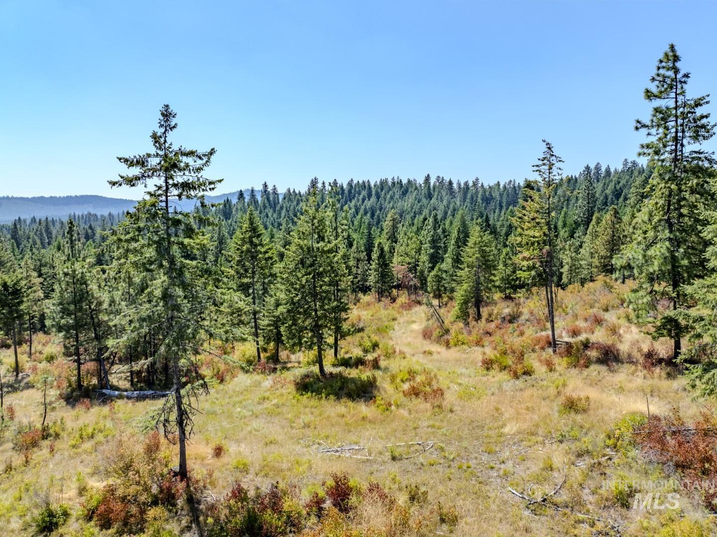 Starview Lane Parcel 1, Princeton, Idaho 83857, Land For Sale, Price $229,000,MLS 98921928