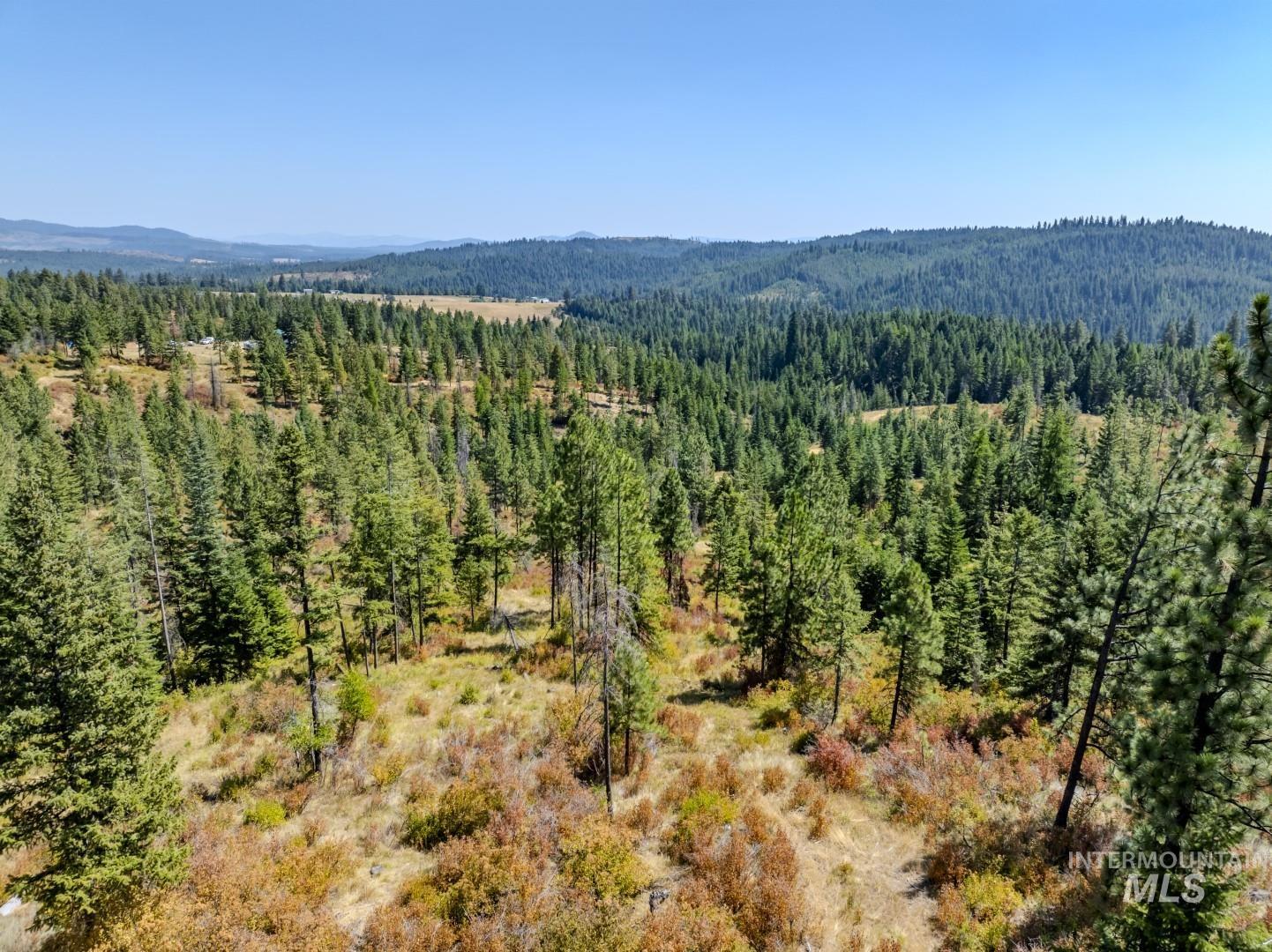 Starview Lane Parcel 1, Princeton, Idaho 83857, Land For Sale, Price $229,000,MLS 98921928