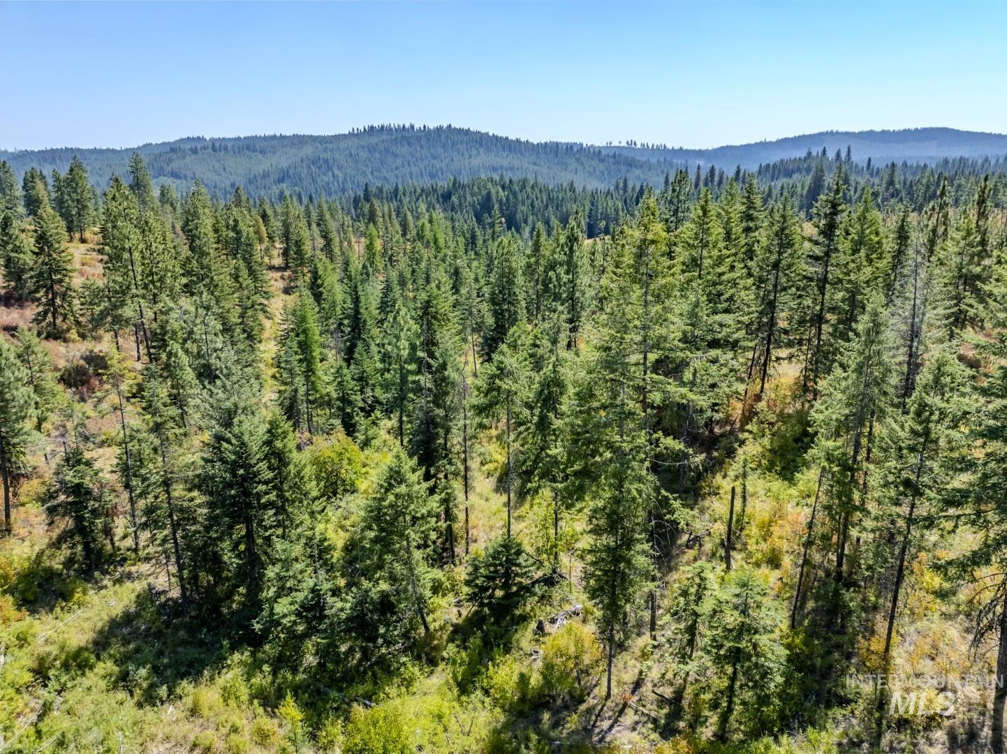 Starview Lane Parcel 1, Princeton, Idaho 83857, Land For Sale, Price $229,000,MLS 98921928