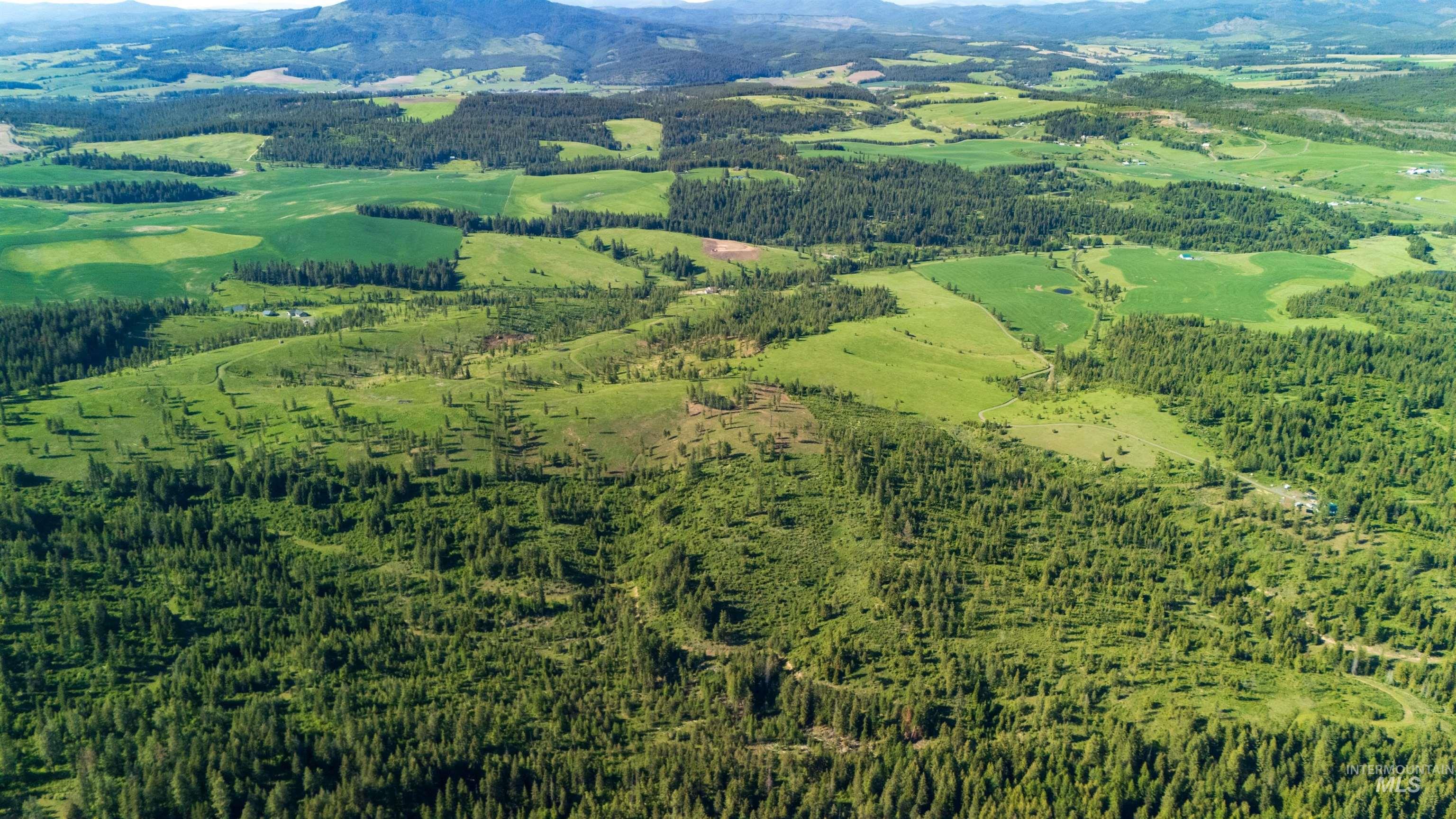 Starview Lane Parcel 1, Princeton, Idaho 83857, Land For Sale, Price $219,000, 98921928