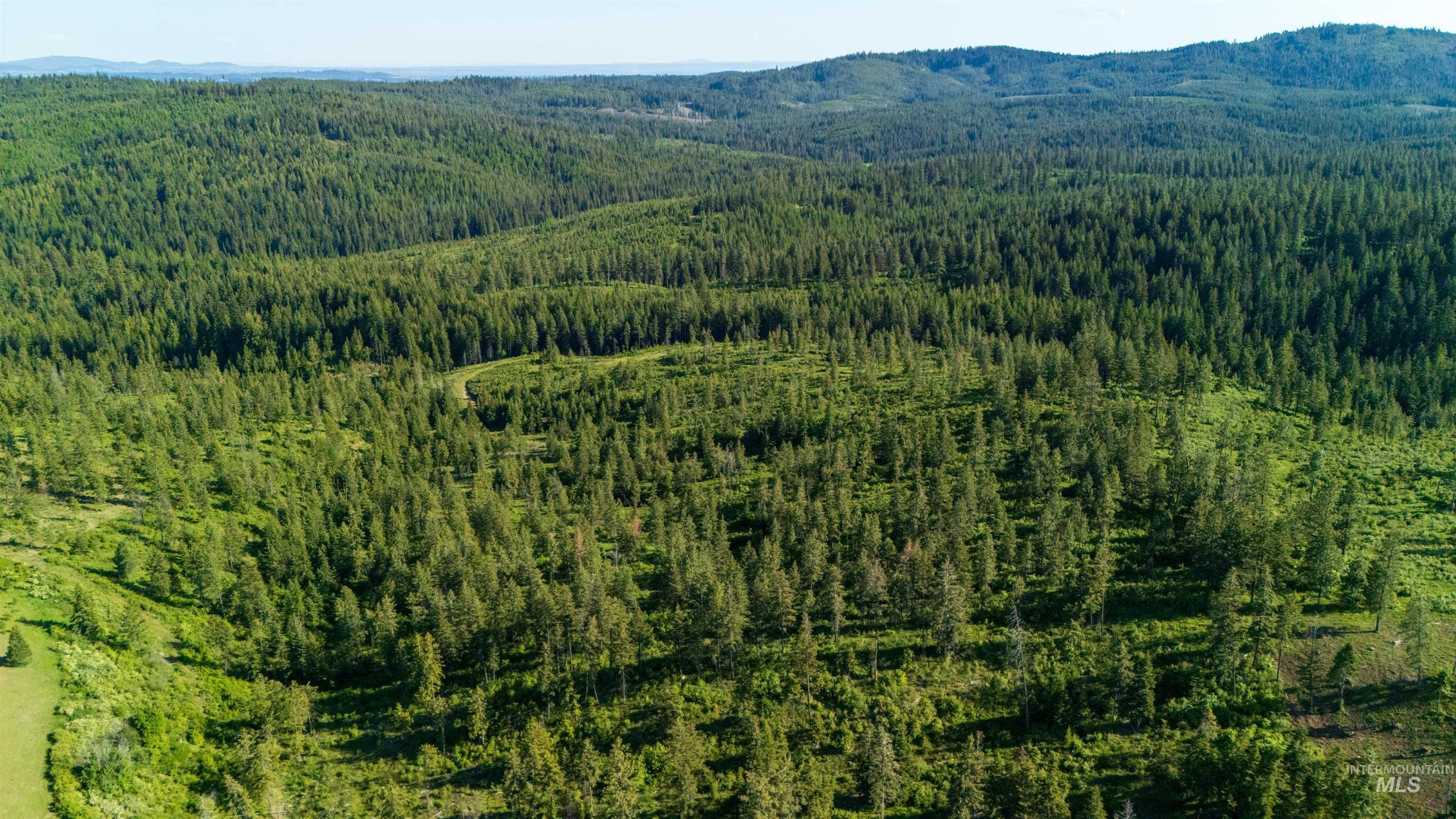 Starview Lane Parcel 1, Princeton, Idaho 83857, Land For Sale, Price $219,000, 98921928