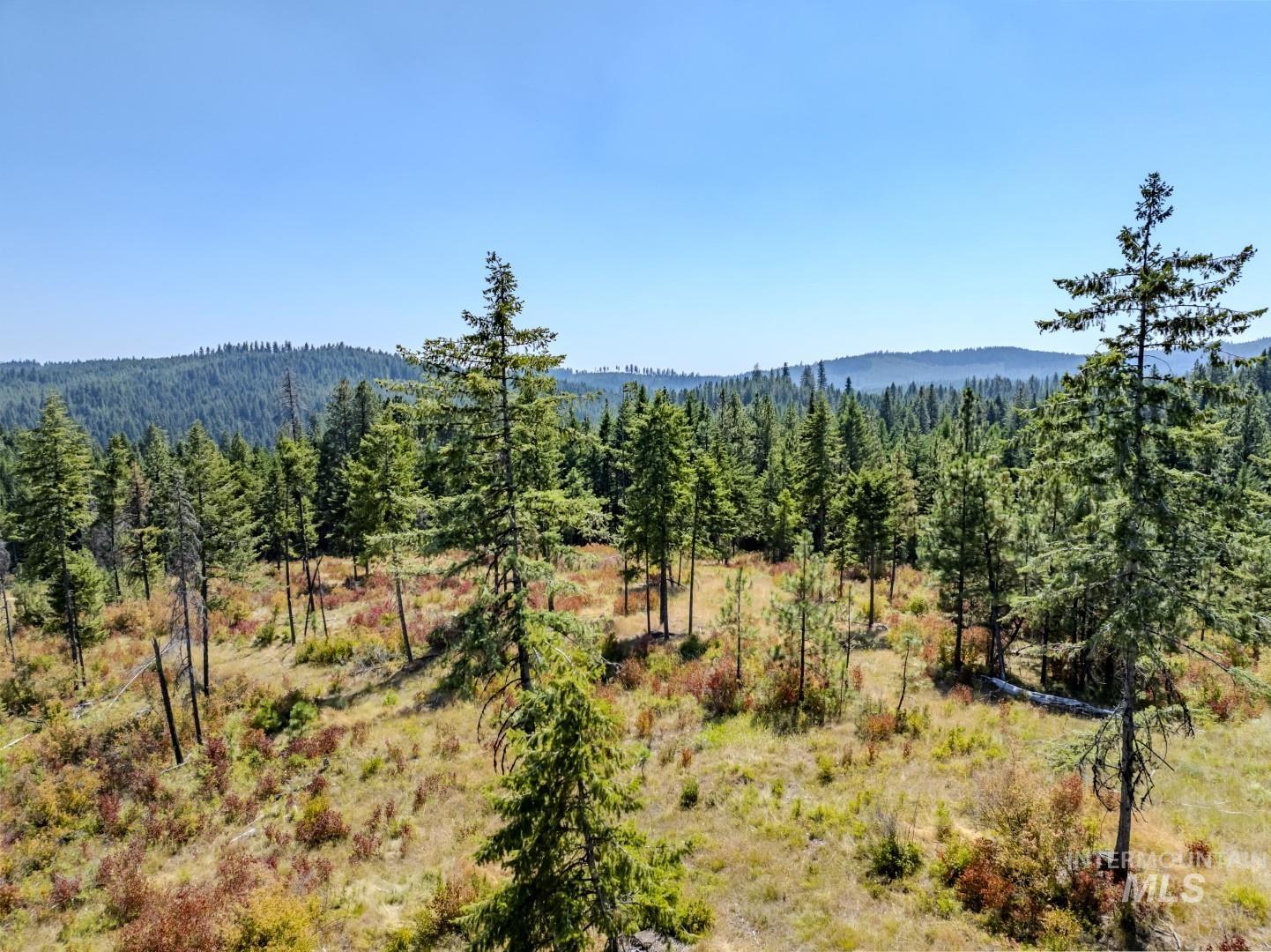 Starview Lane Parcel 1, Princeton, Idaho 83857, Land For Sale, Price $224,000,MLS 98921928