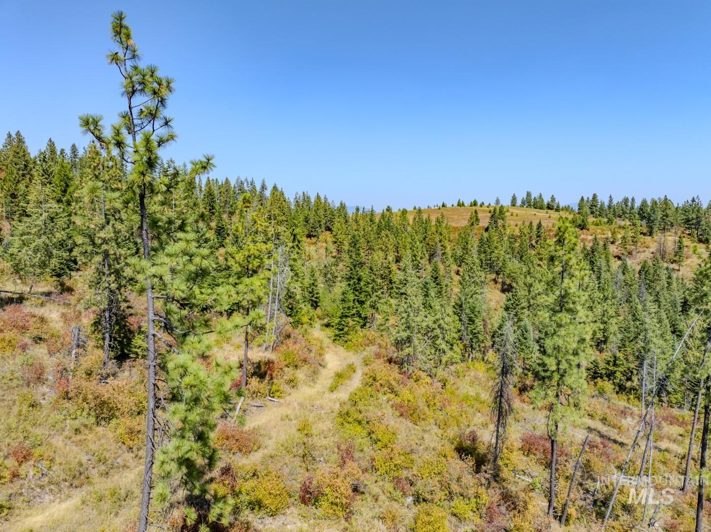 Starview Lane Parcel 1, Princeton, Idaho 83857, Land For Sale, Price $224,000,MLS 98921928