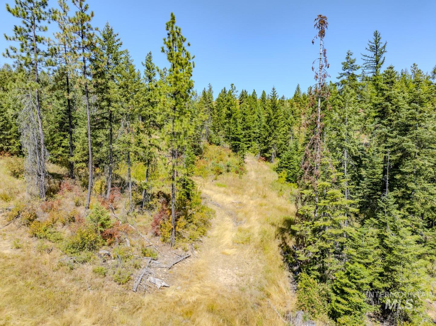 Starview Lane Parcel 1, Princeton, Idaho 83857, Land For Sale, Price $224,000,MLS 98921928