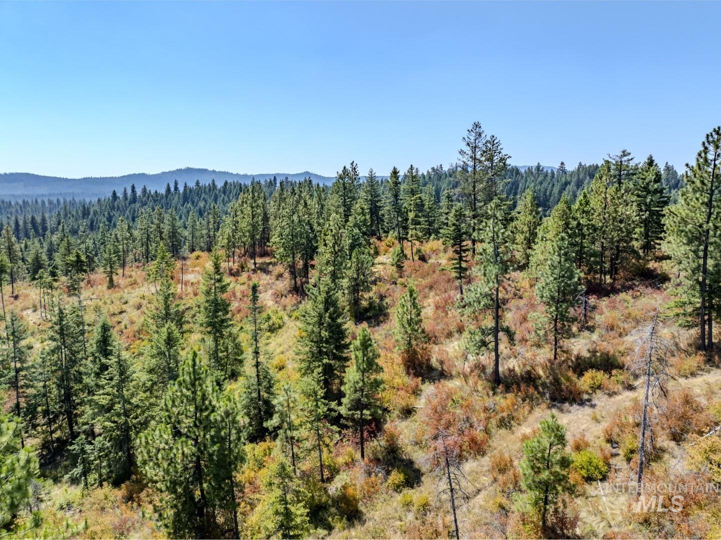 Starview Lane Parcel 2, Princeton, Idaho 83857, Land For Sale, Price $229,000,MLS 98921930
