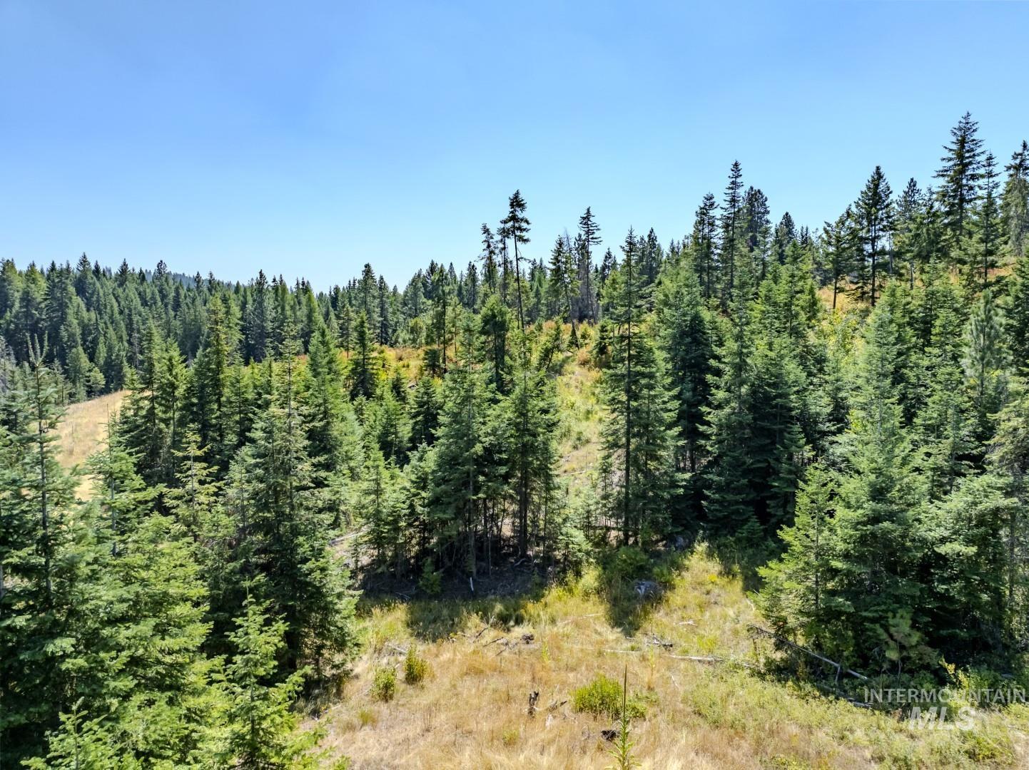 Starview Lane Parcel 2, Princeton, Idaho 83857, Land For Sale, Price $224,000,MLS 98921930