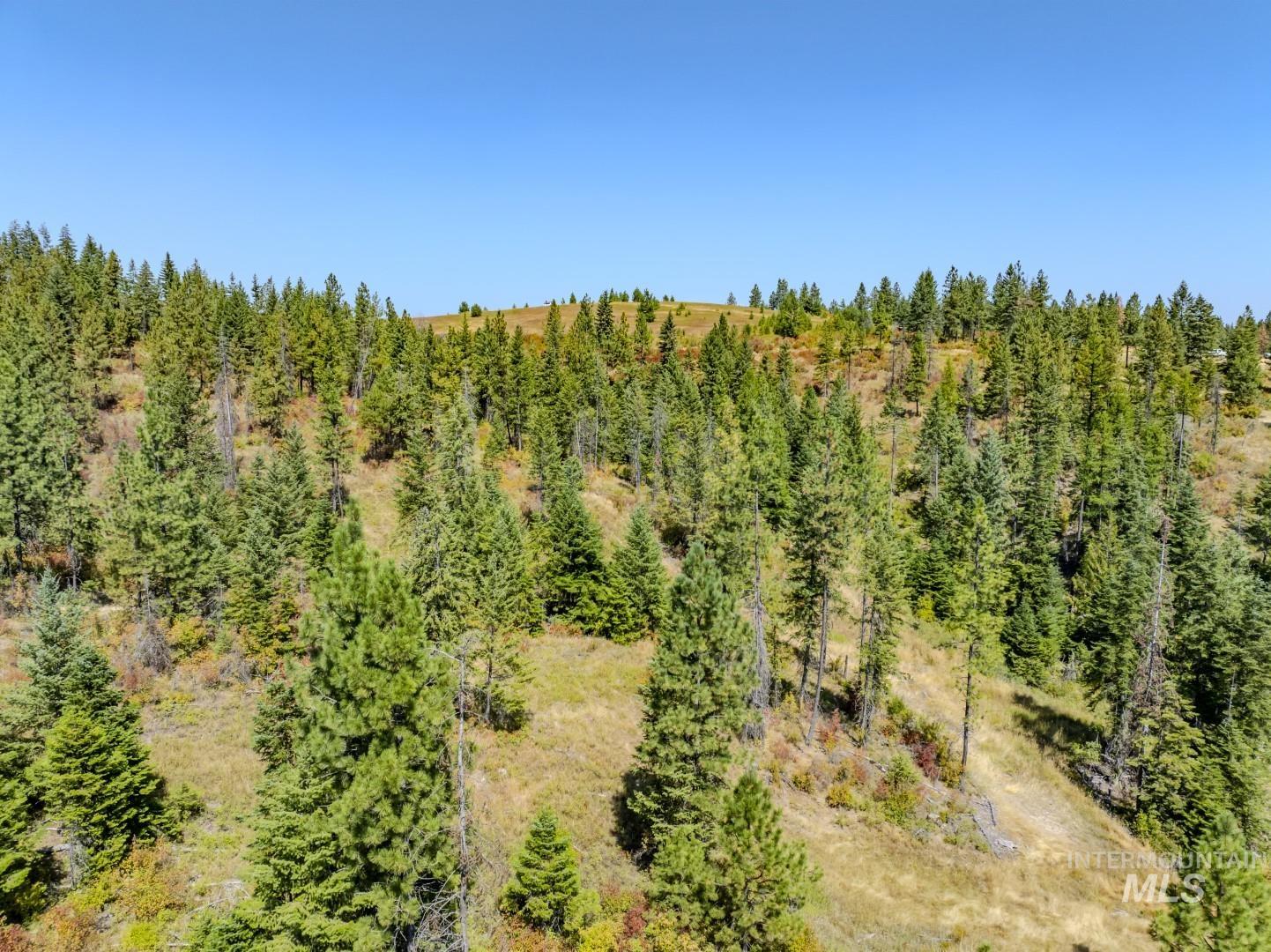 Starview Lane Parcel 2, Princeton, Idaho 83857, Land For Sale, Price $224,000,MLS 98921930