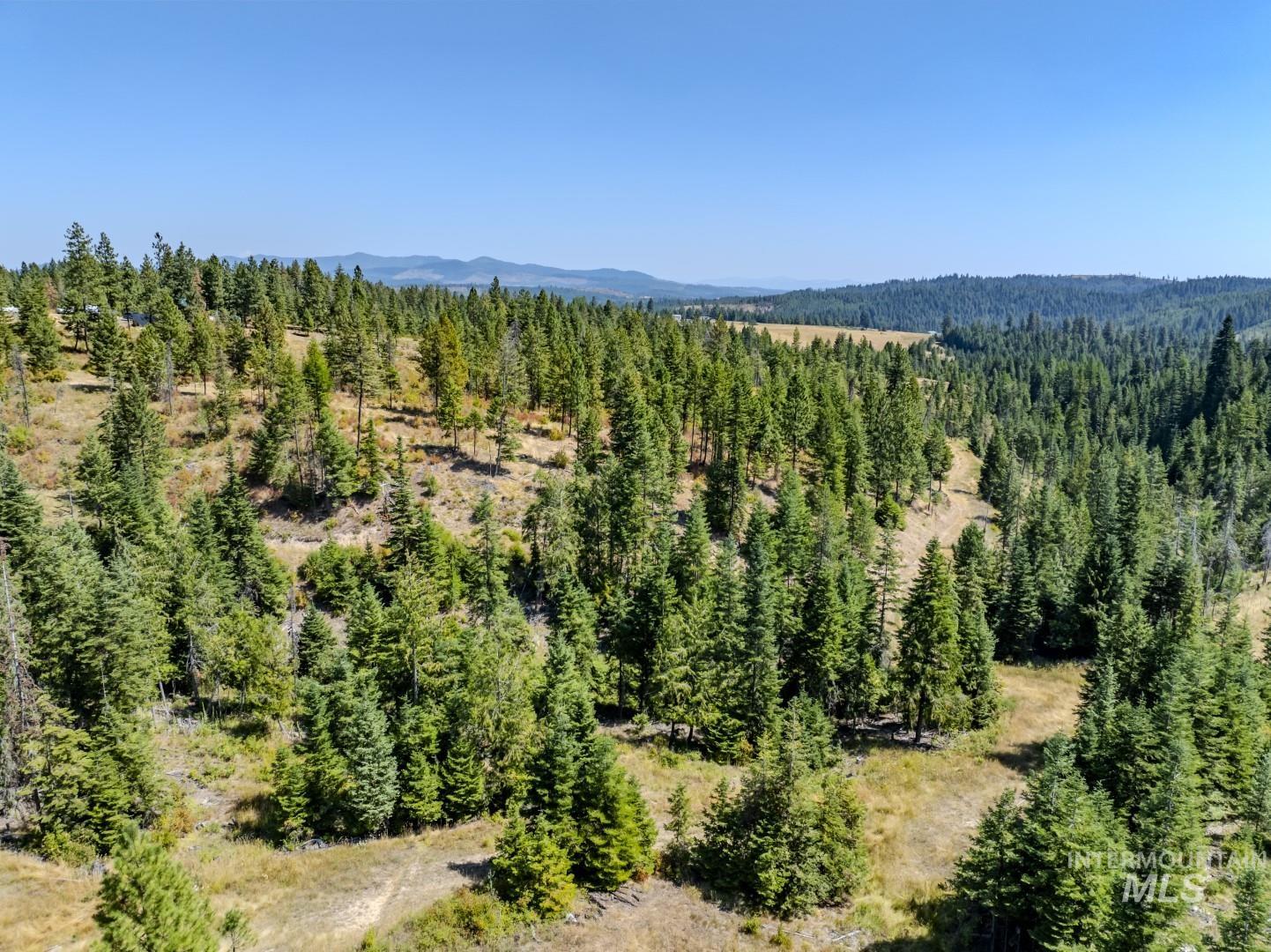 Starview Lane Parcel 2, Princeton, Idaho 83857, Land For Sale, Price $224,000,MLS 98921930