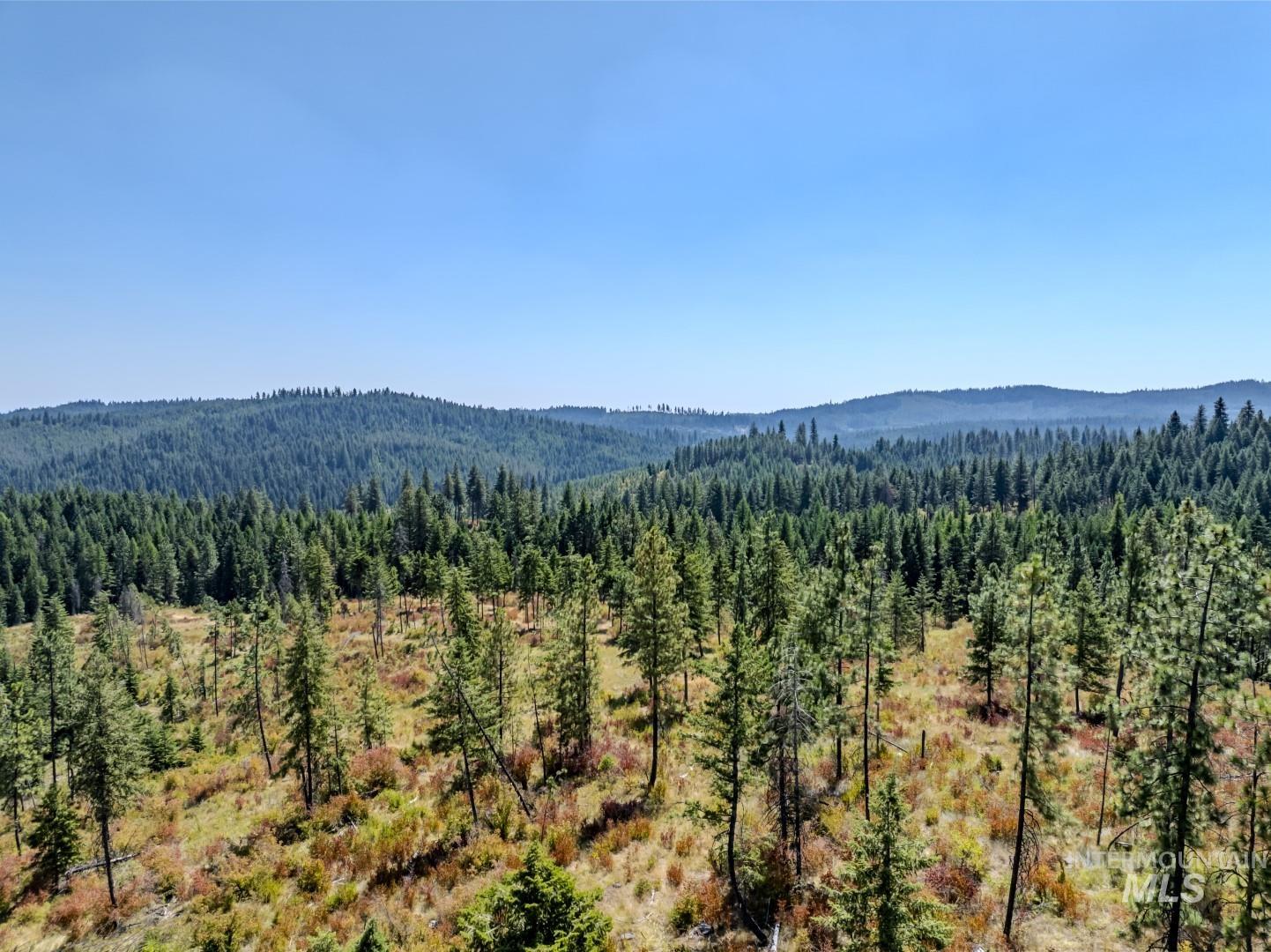 Starview Lane Parcel 2, Princeton, Idaho 83857, Land For Sale, Price $224,000,MLS 98921930