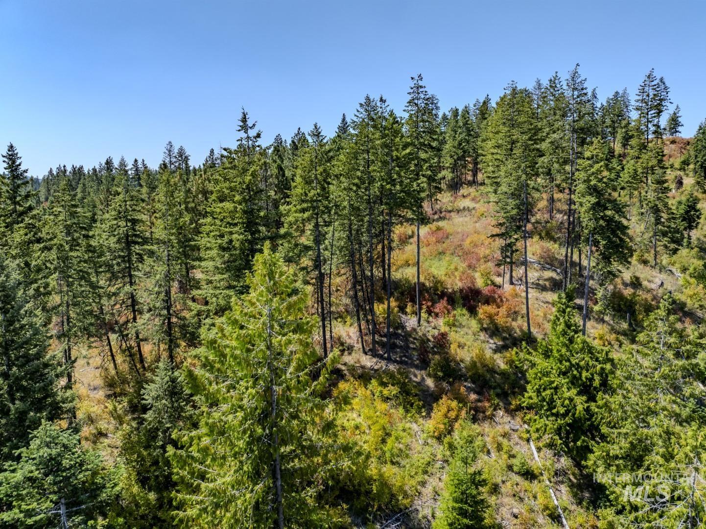 Starview Lane Parcel 2, Princeton, Idaho 83857, Land For Sale, Price $224,000,MLS 98921930