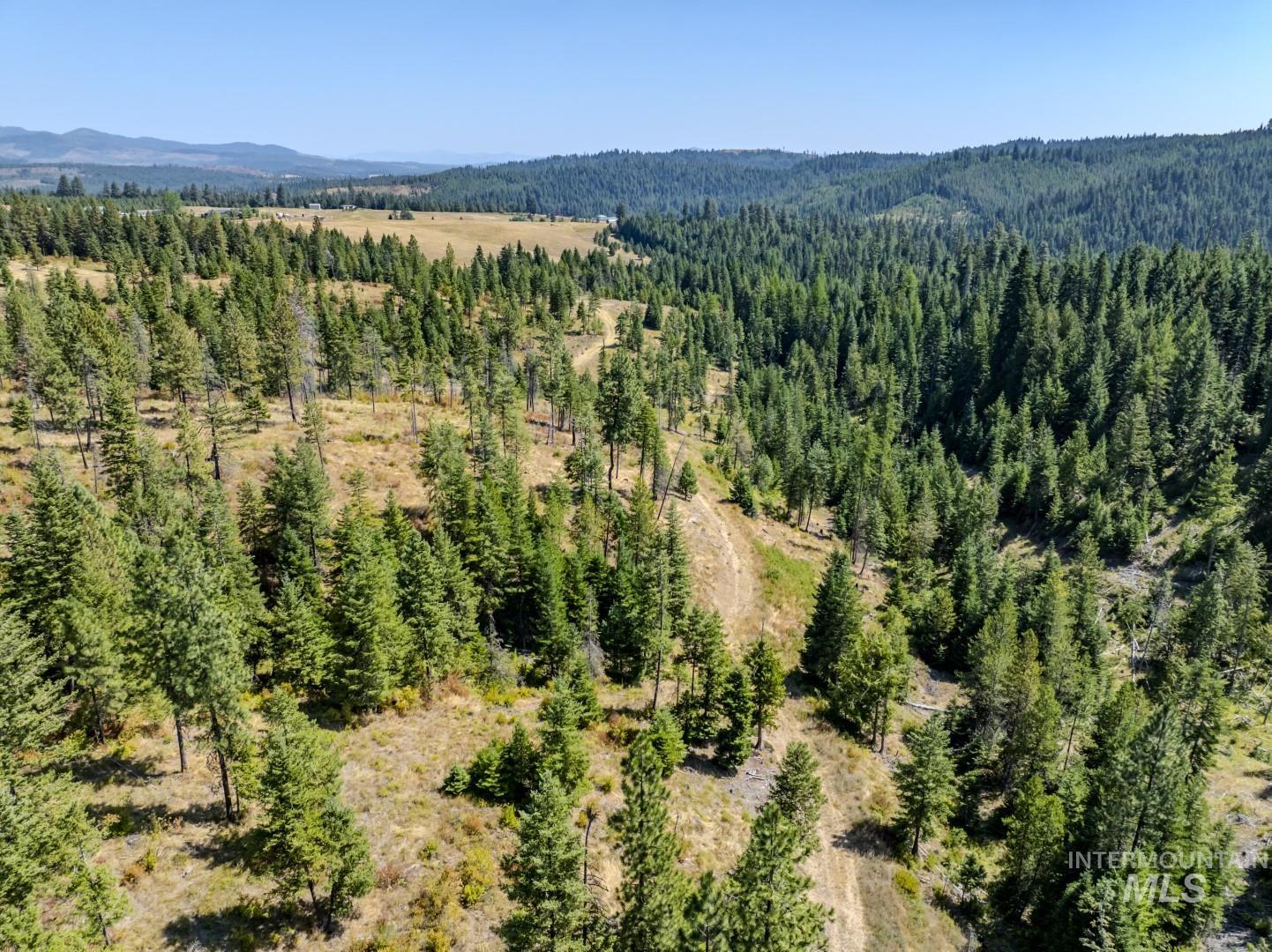 Starview Lane Parcel 2, Princeton, Idaho 83857, Land For Sale, Price $224,000,MLS 98921930