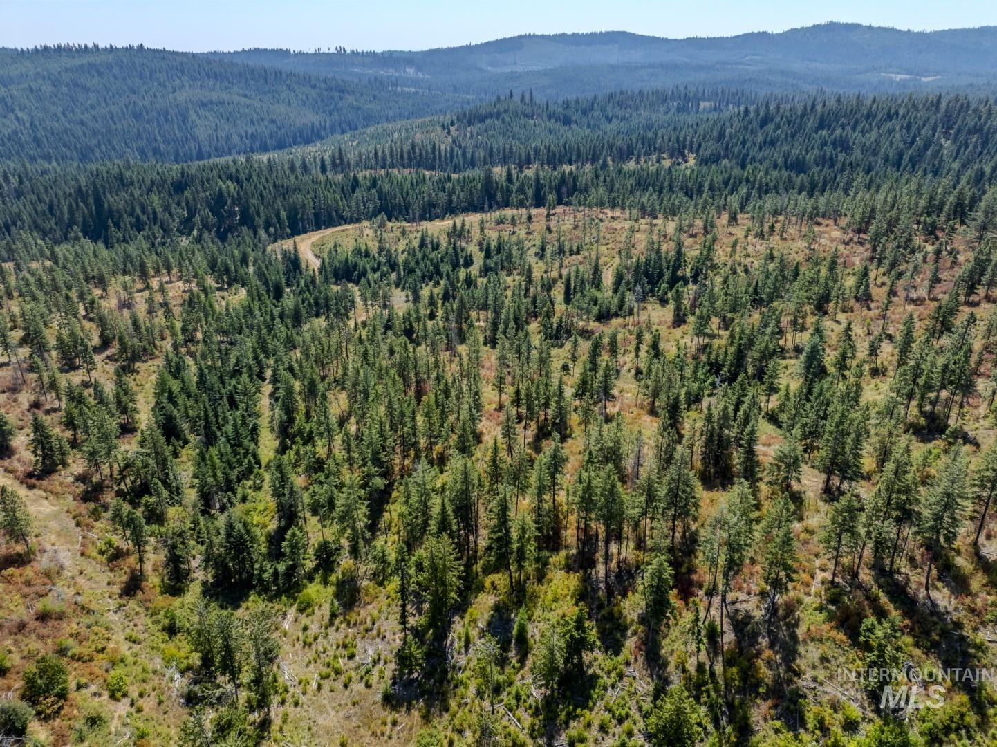 Starview Lane Parcel 2, Princeton, Idaho 83857, Land For Sale, Price $224,000,MLS 98921930