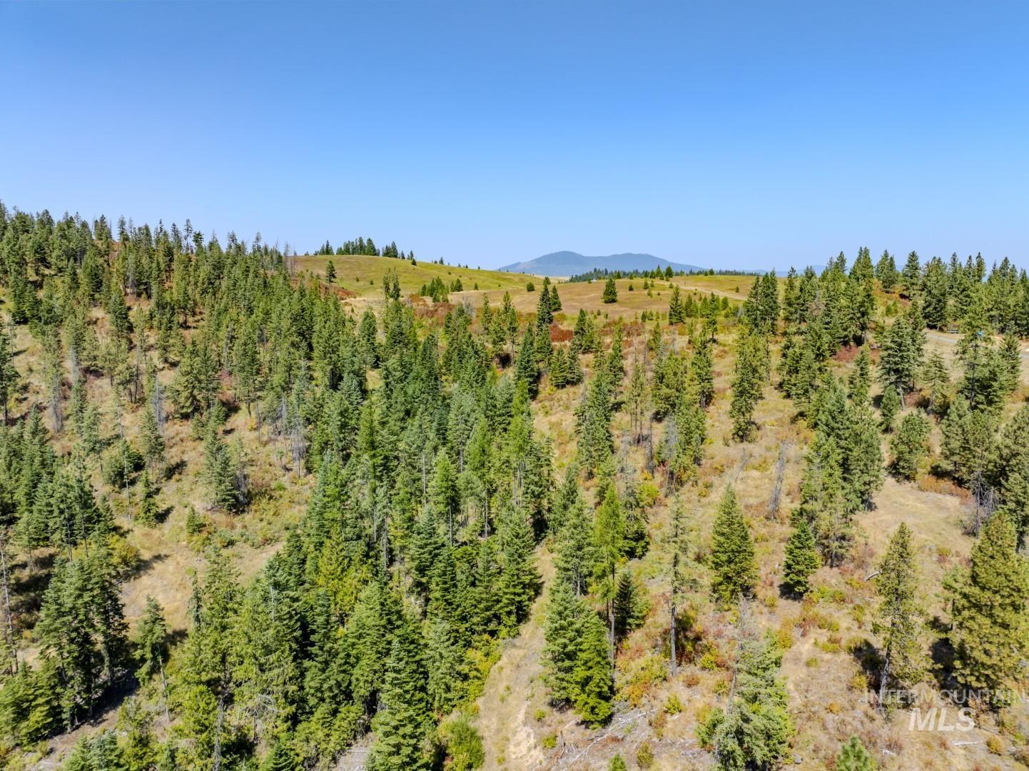 Starview Lane Parcel 2, Princeton, Idaho 83857, Land For Sale, Price $224,000,MLS 98921930