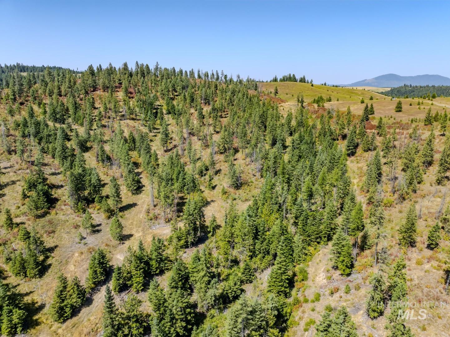 Starview Lane Parcel 2, Princeton, Idaho 83857, Land For Sale, Price $224,000,MLS 98921930